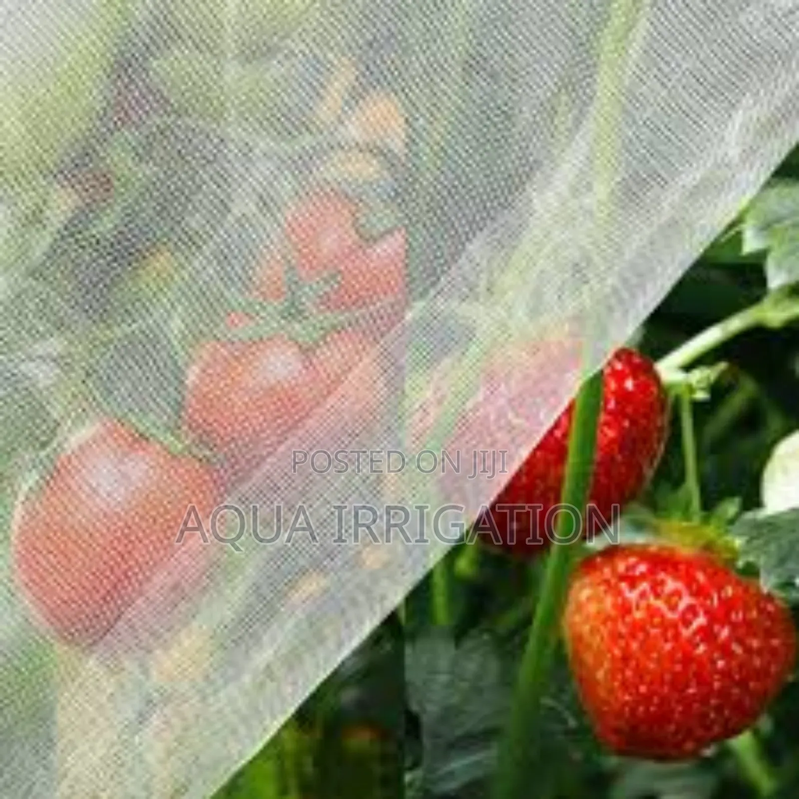 Crop Protection Made Easy With Insect Nets!
