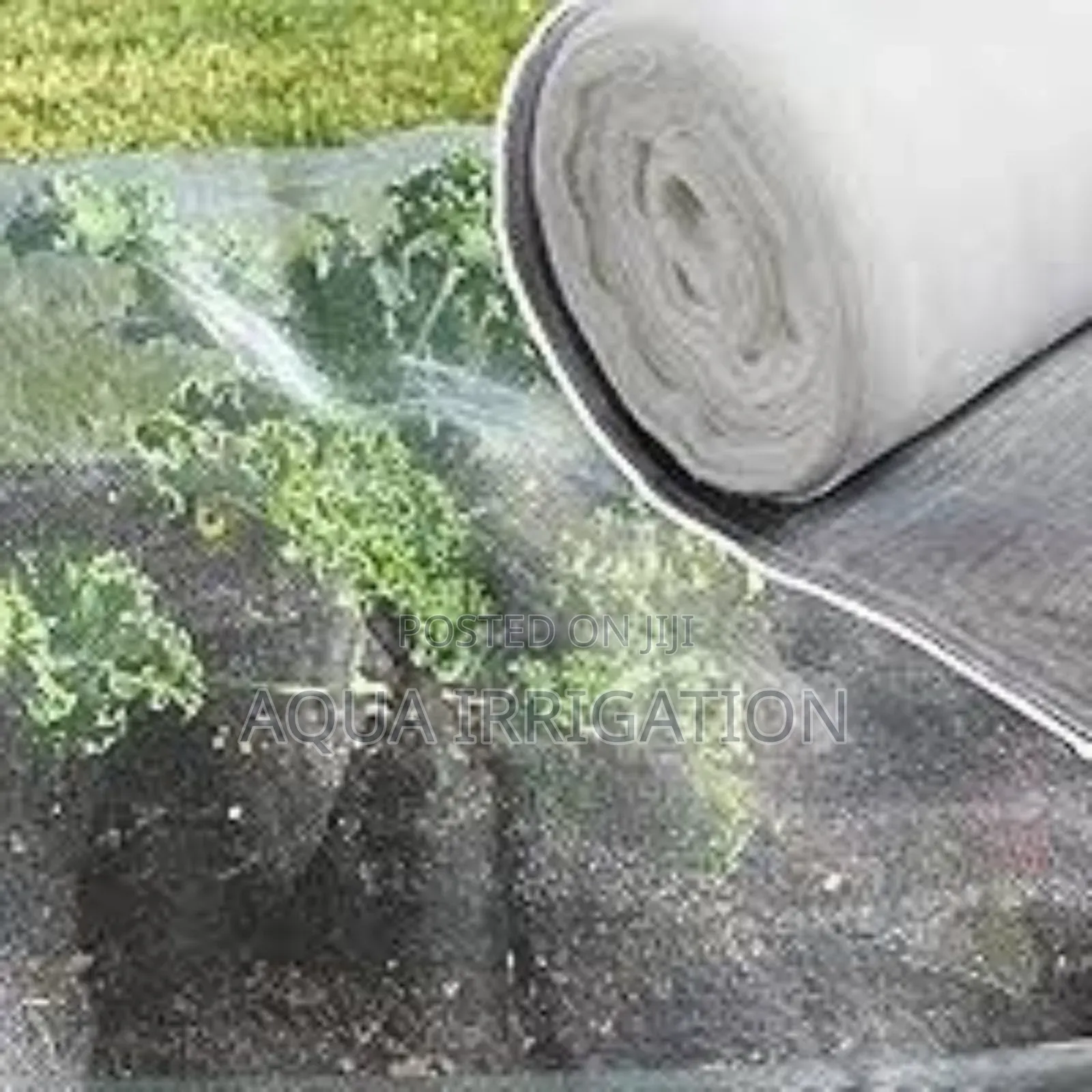 Your Crops Deserve the Best Insect Netting!