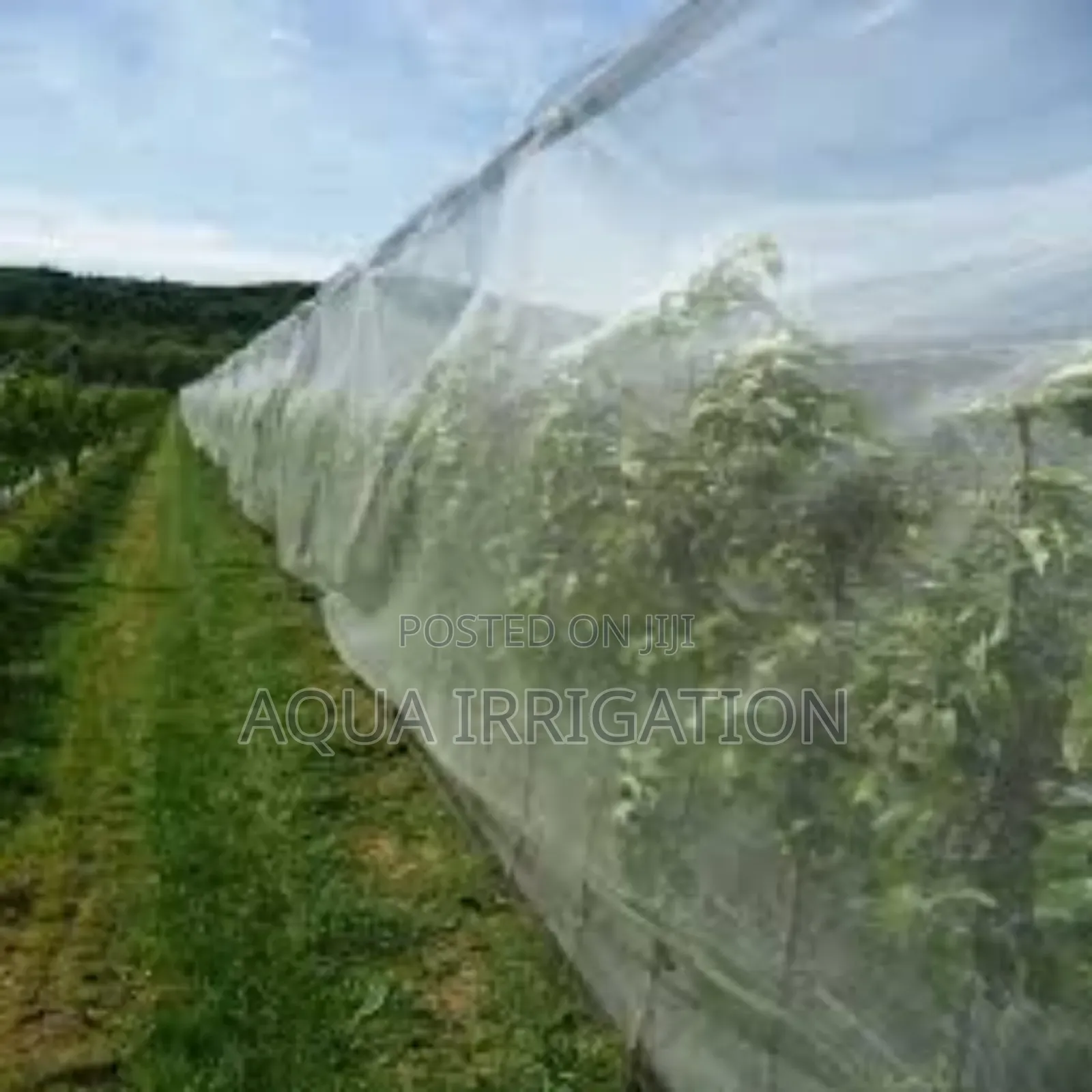 Insect Protection Made Simple With Our Nets