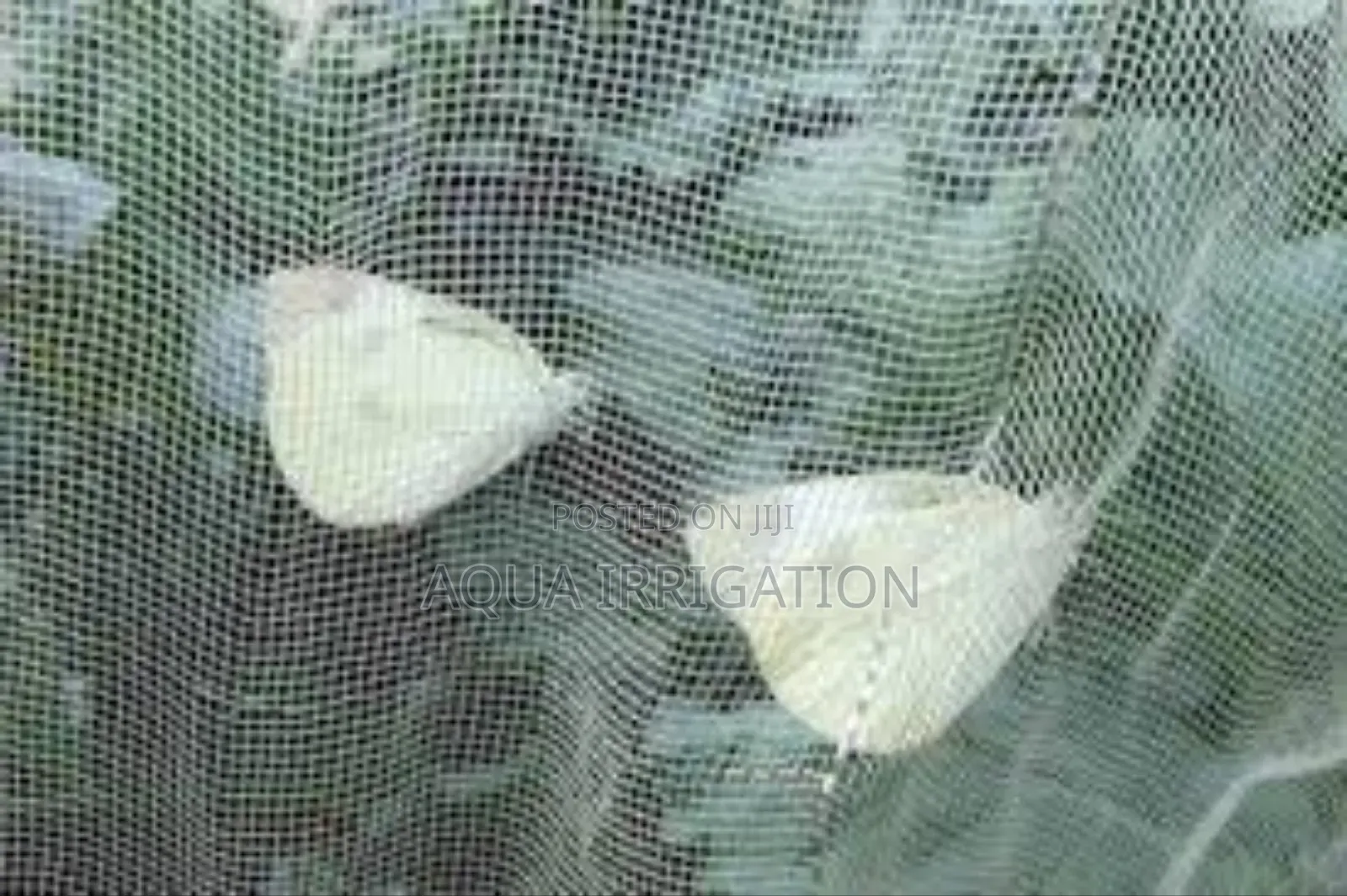 High-Tensile Insect Nets for Reliable Security!