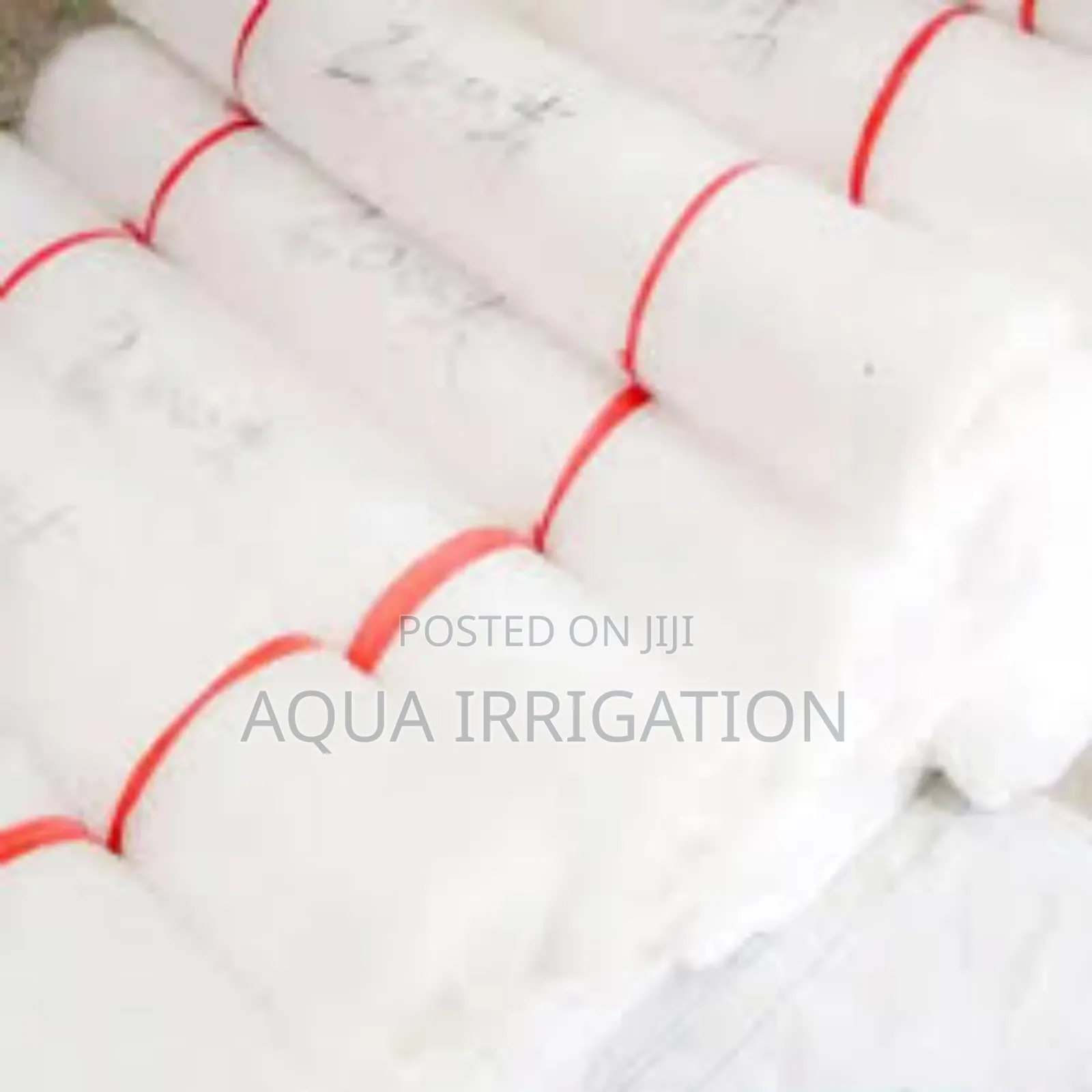 Keep Bugs Away – Order Insect Nets Today!
