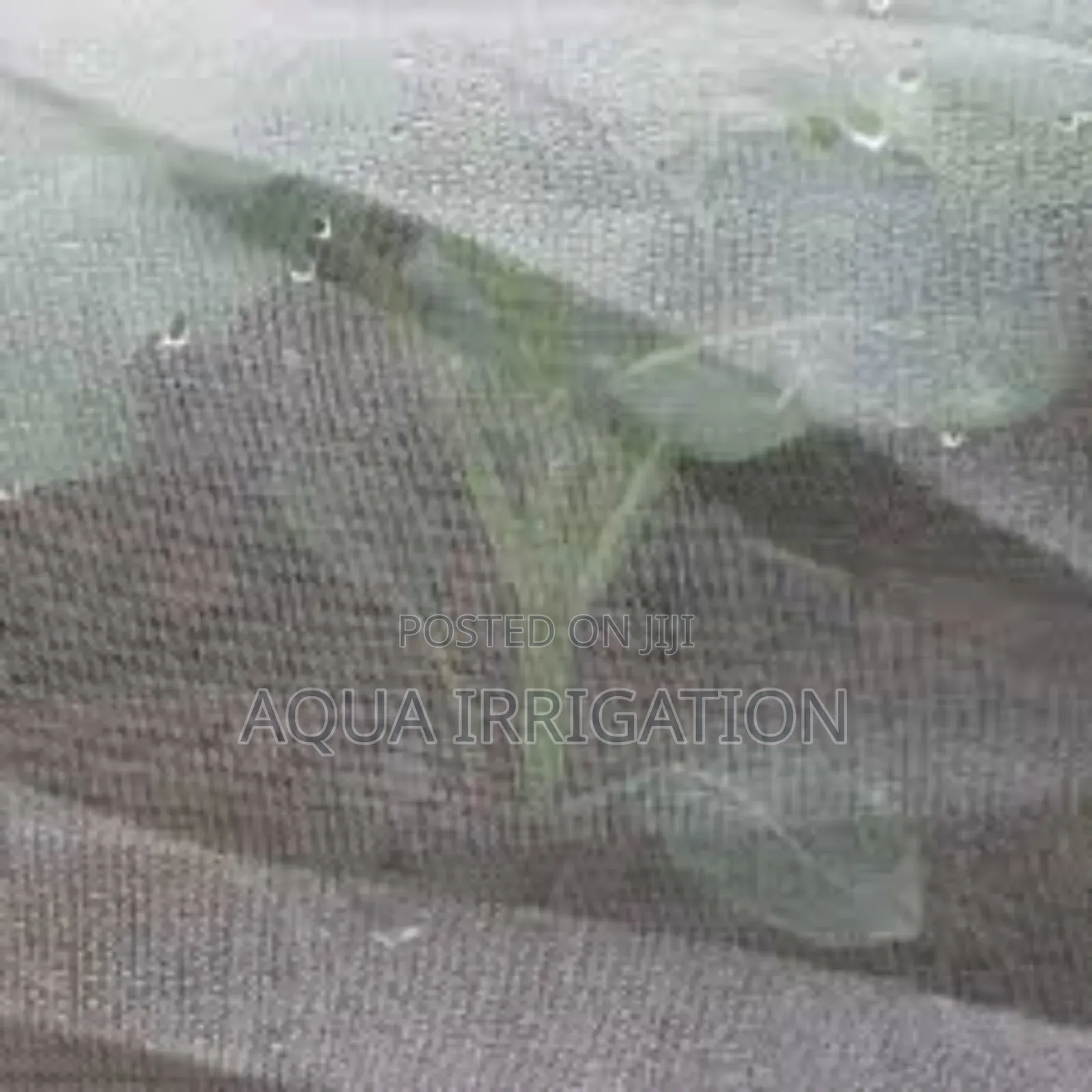 Grow Healthier Crops With Reliable Insect Nets