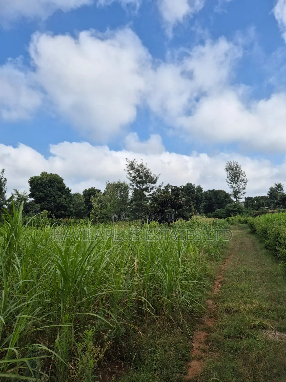 1/2 Acre on Sale Thogoto