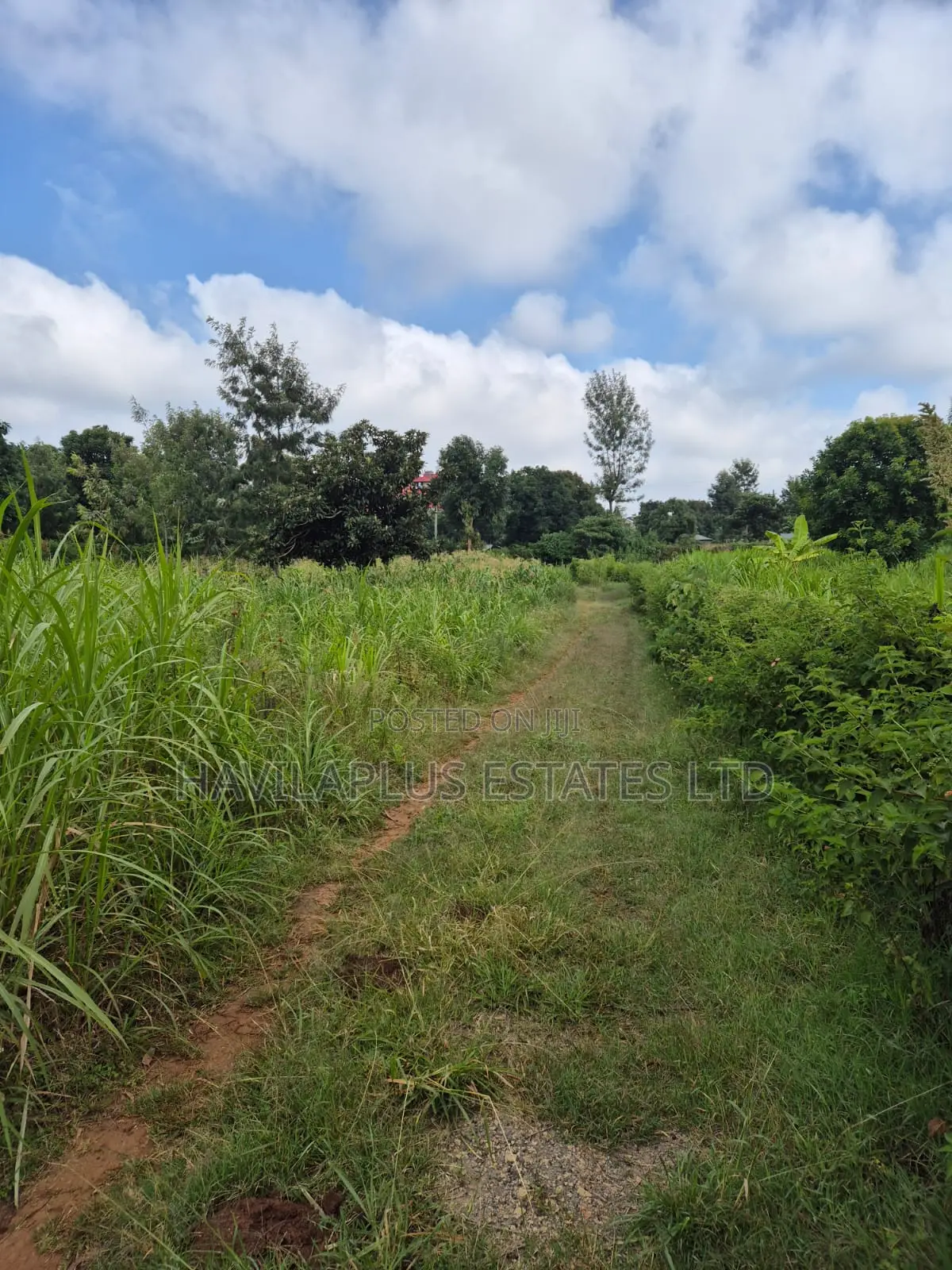 1/2 Acre on Sale Thogoto