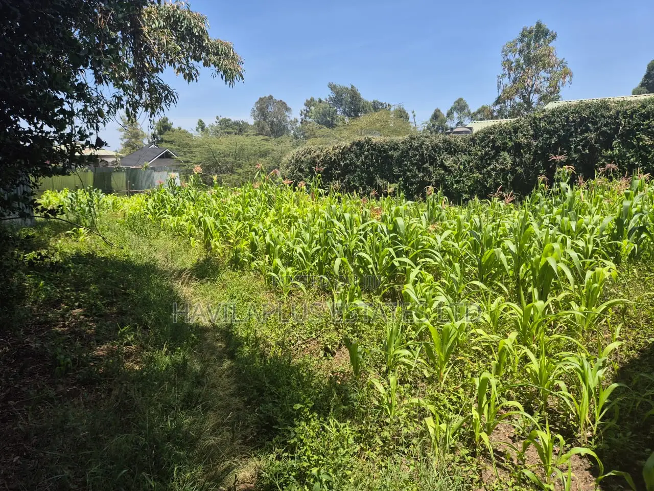 A Prime 1/8 Acre Behind Milele Mall Ngong