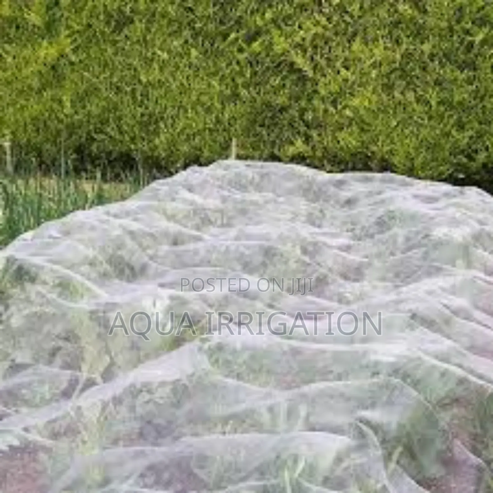 No More Pests – Just Healthy Crops