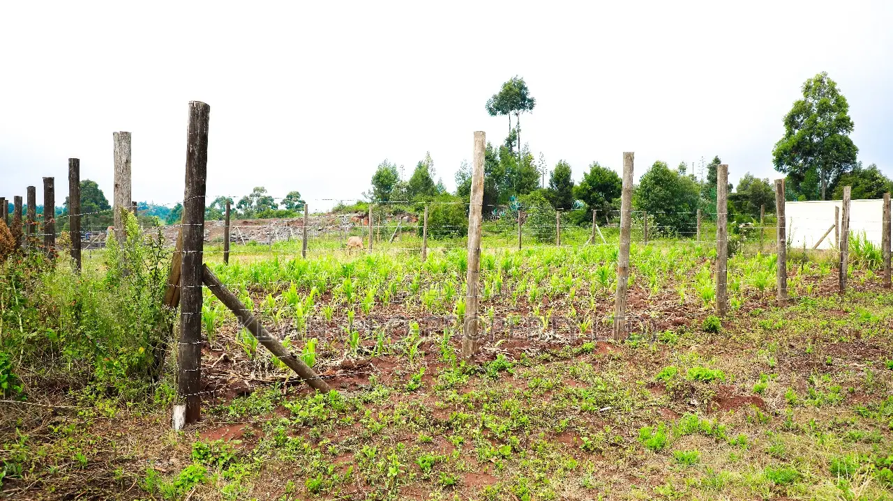 Prime Residential Plot for Sale in Kikuyu, Lusigetti