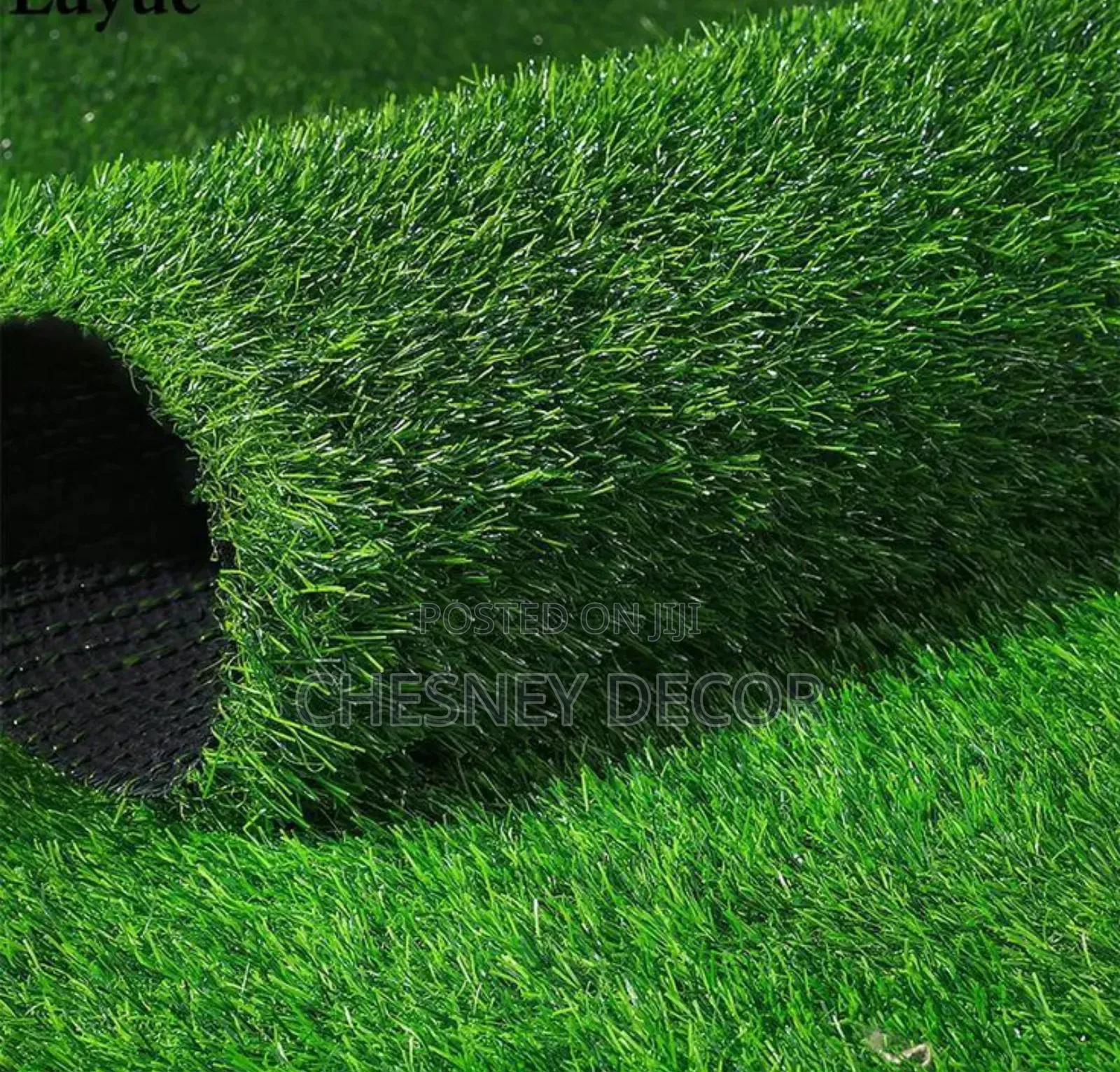 Solution for Your Backyard- Turfgrass