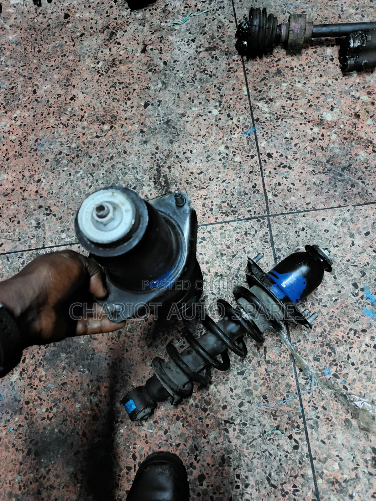 NZE Rear Shocks
