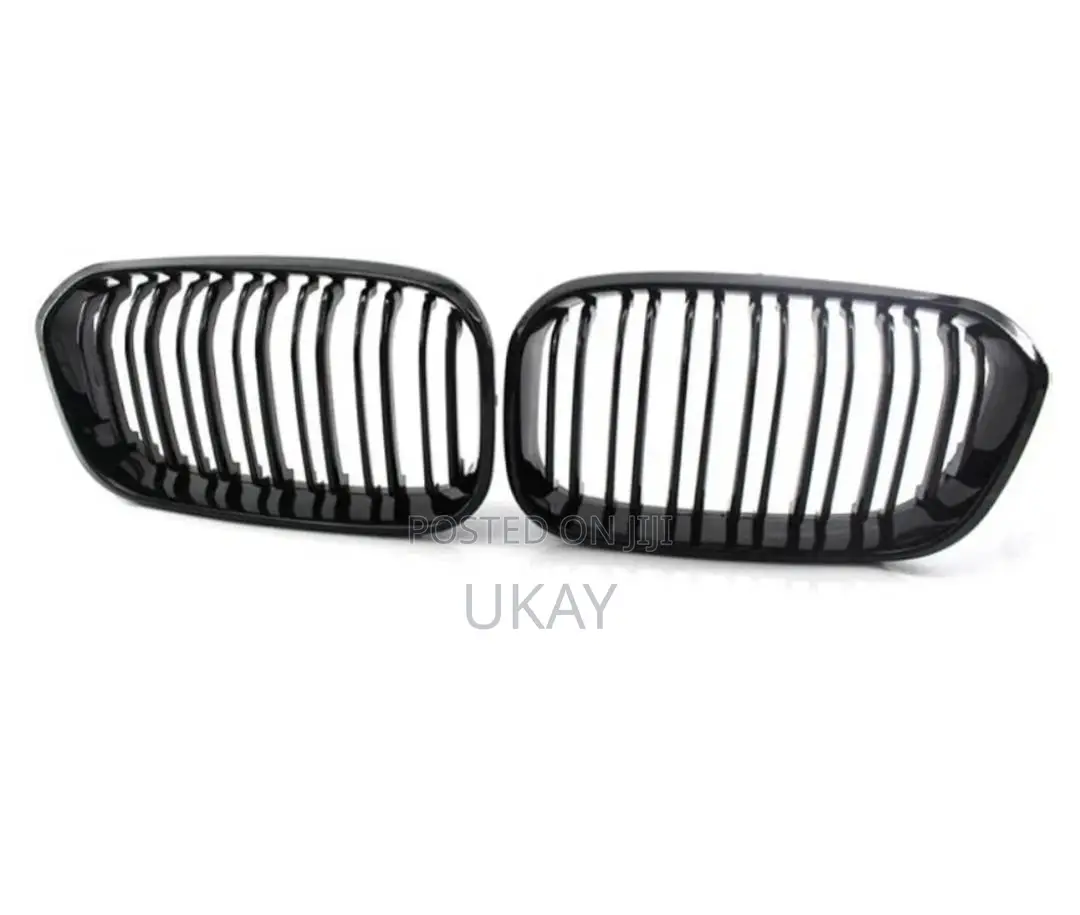 BMW Car Front Grill.