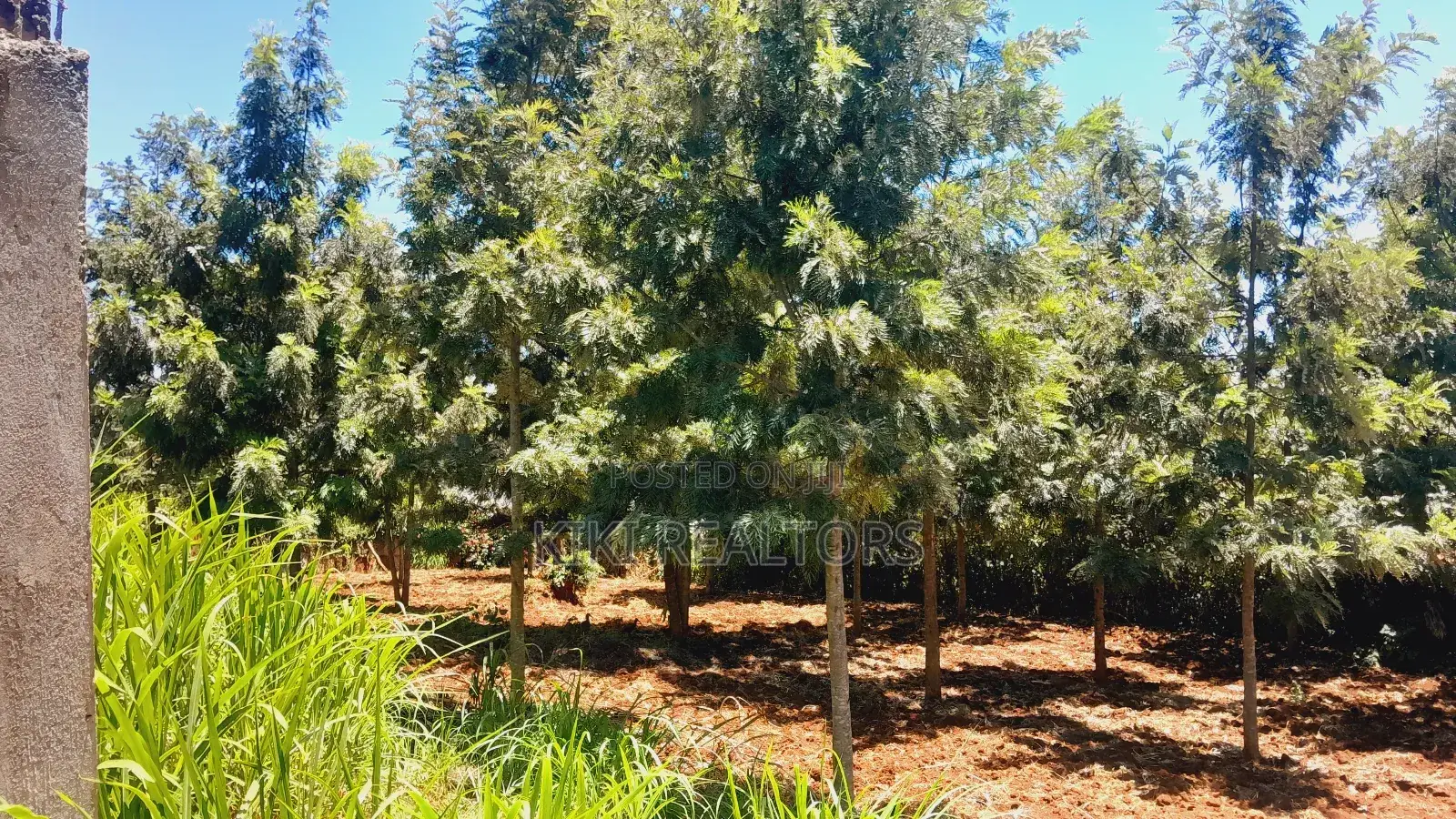 Plots for Sale in Kikuyu Thamanda Waiyaki Way