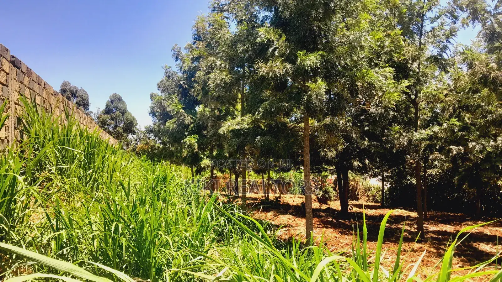 Plots for Sale in Kikuyu Thamanda Waiyaki Way