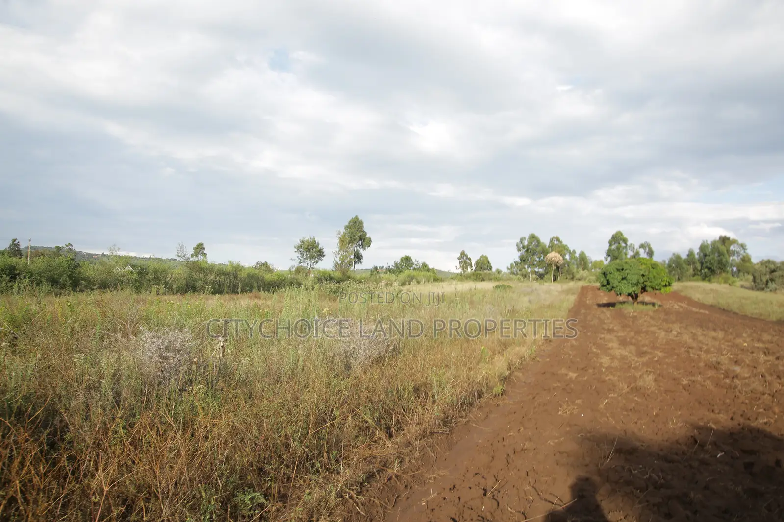 Prime Plots for Sale in Kikuyu Nachu, Mbomboine