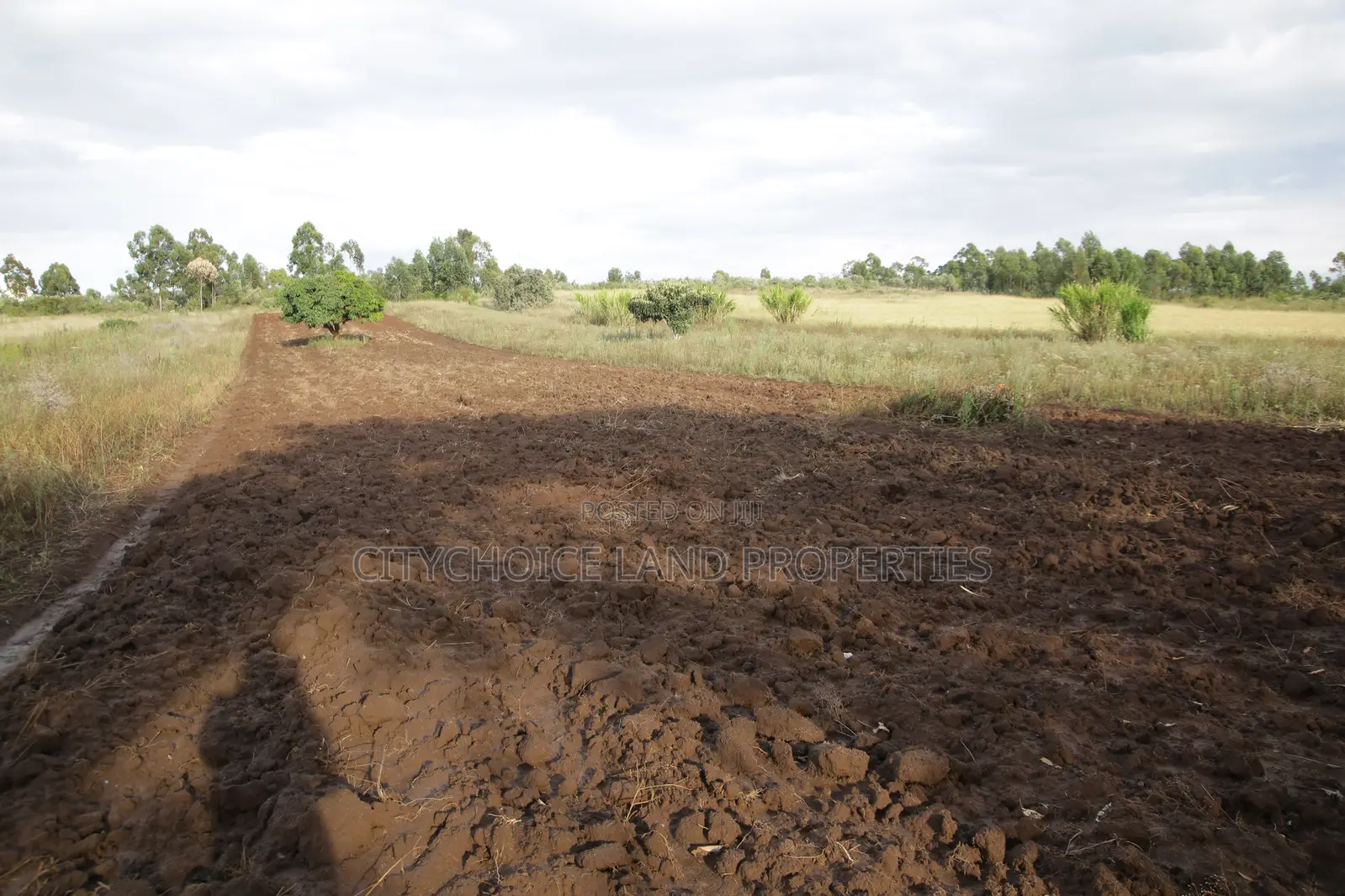 Invest in Prime Land in Kikuyu Nachu