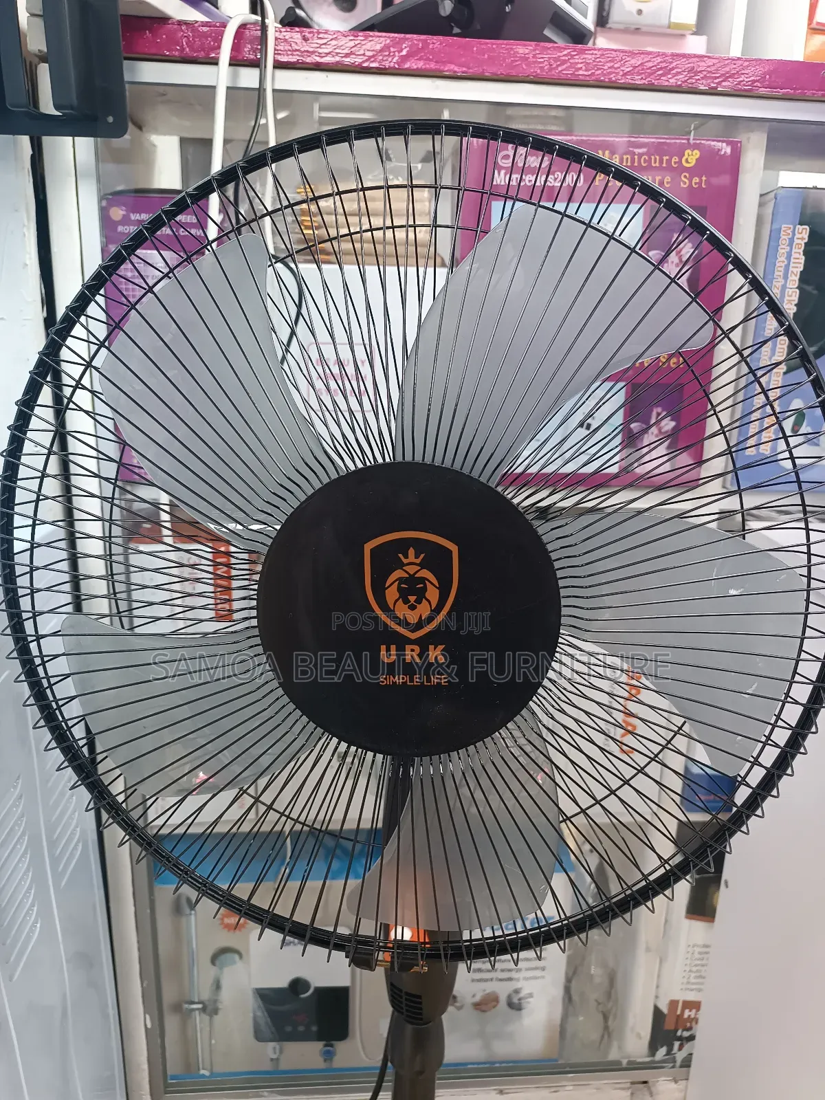 Standing Fan