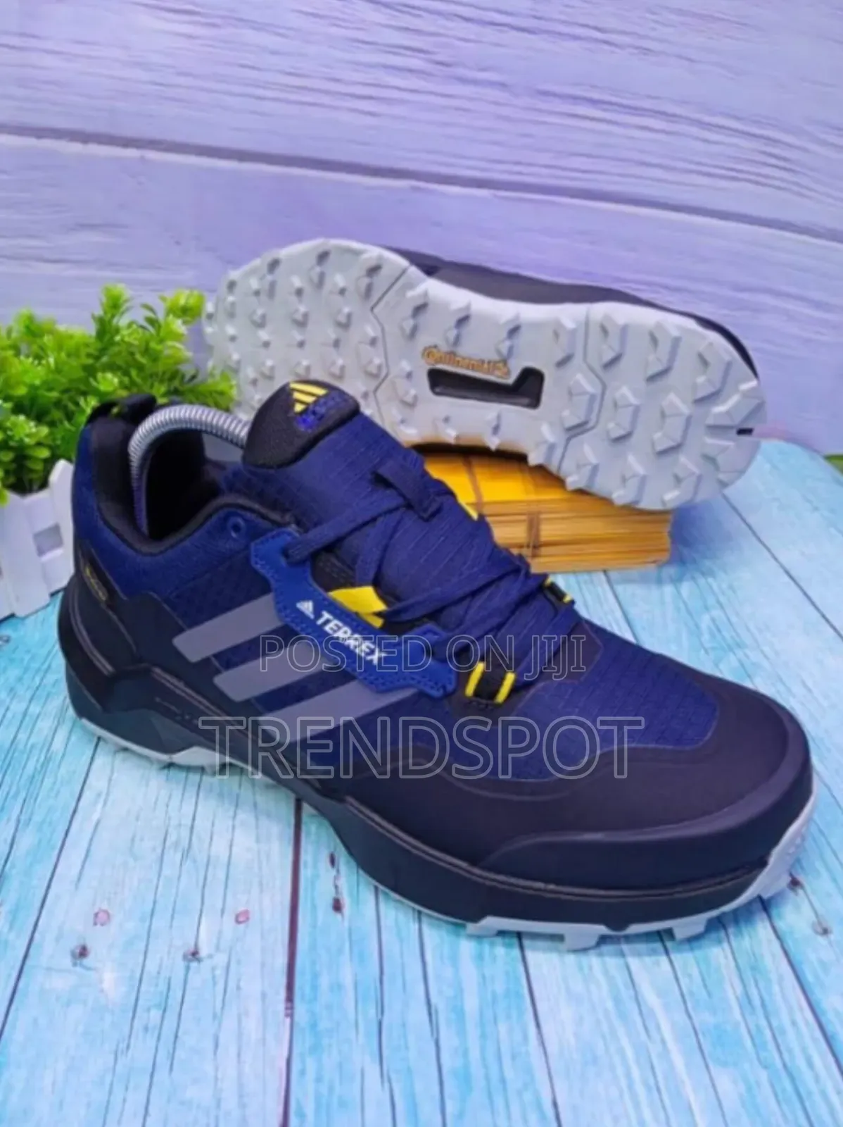  Adidas Terrex Blue