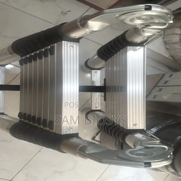 Outdoor/Indoor Ladder 2.5m + 2.5m a Type Telescopic