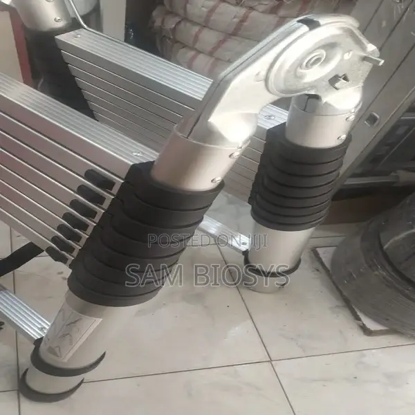 Outdoor/Indoor Ladder 2.5m + 2.5m a Type Telescopic