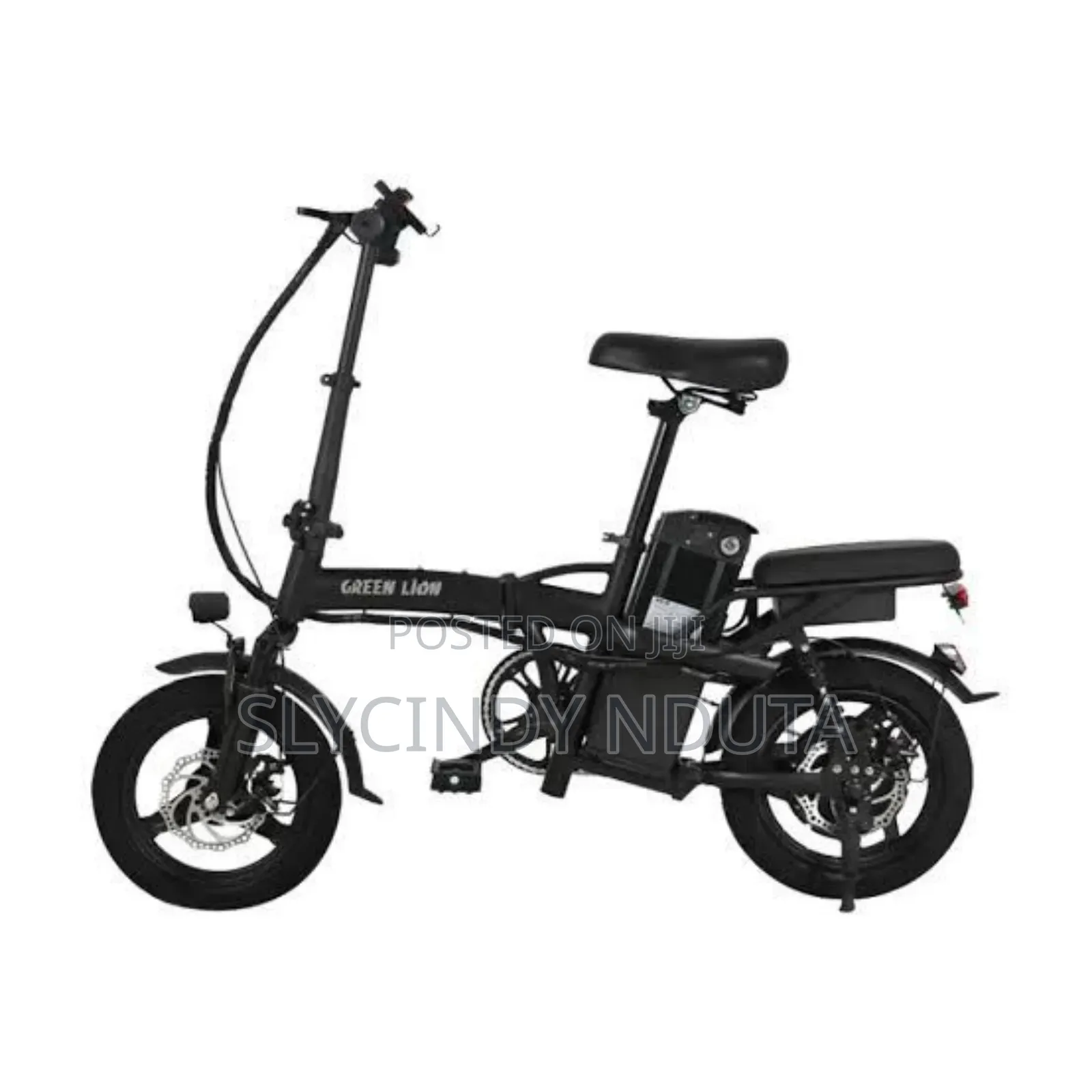 Green Lion Electric Bike