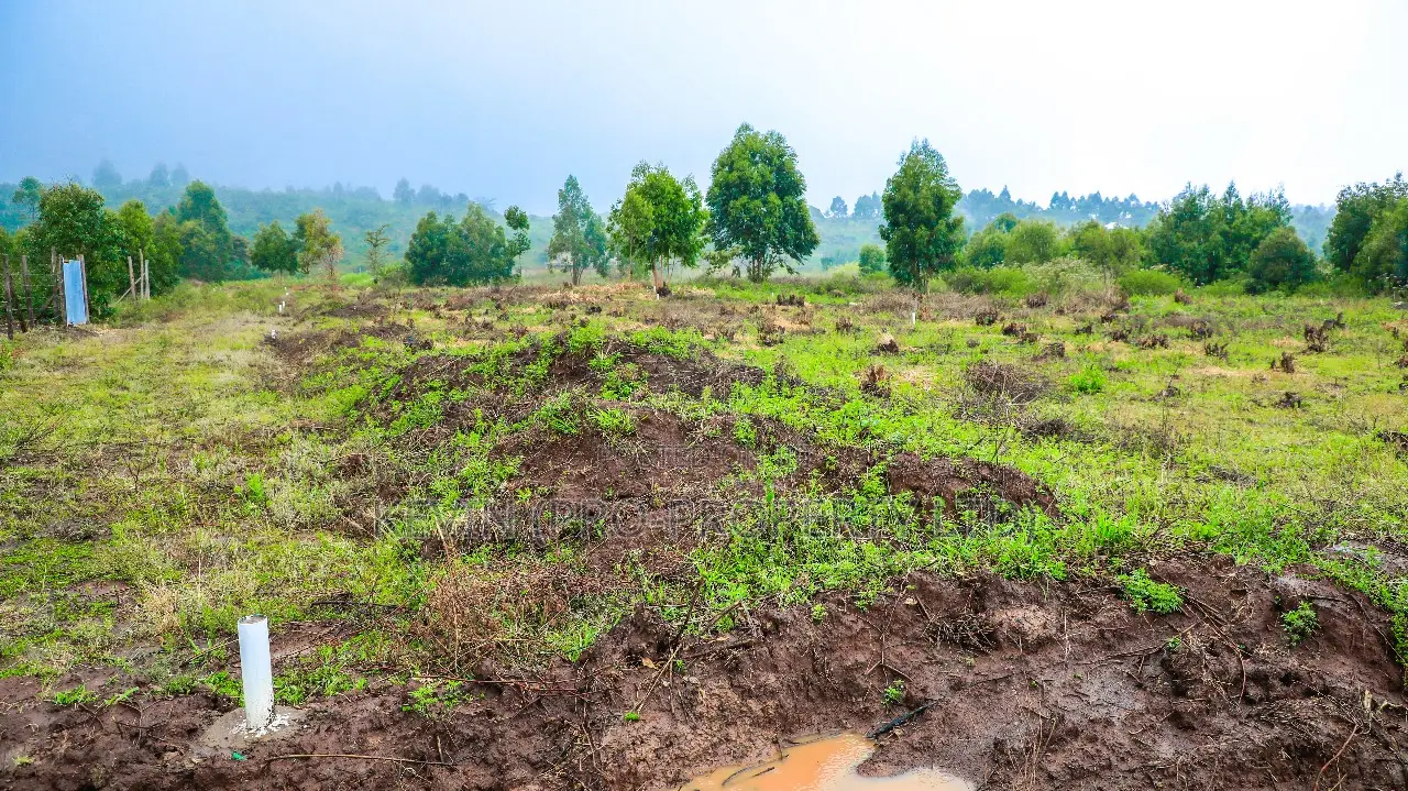 Prime Residential Plots For Sale In Kikuyu, Nachu