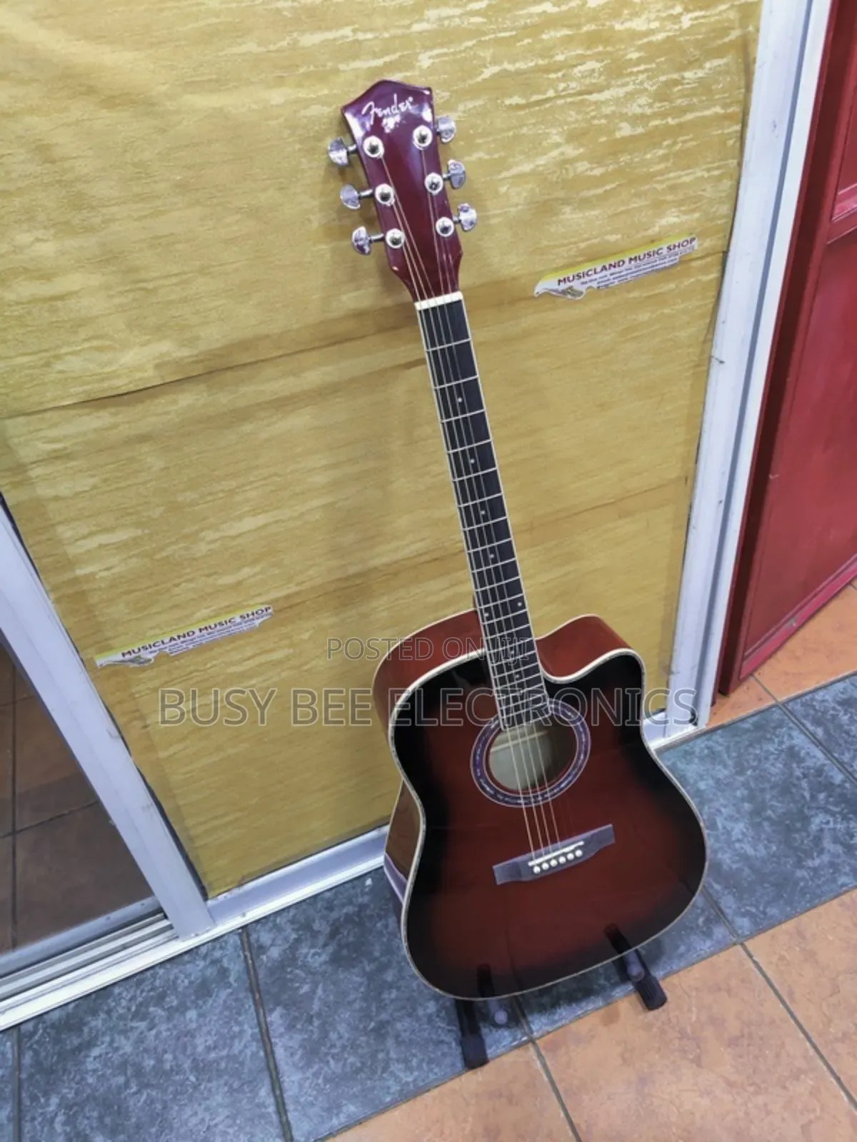 Electro Acoustic Steel Guitar