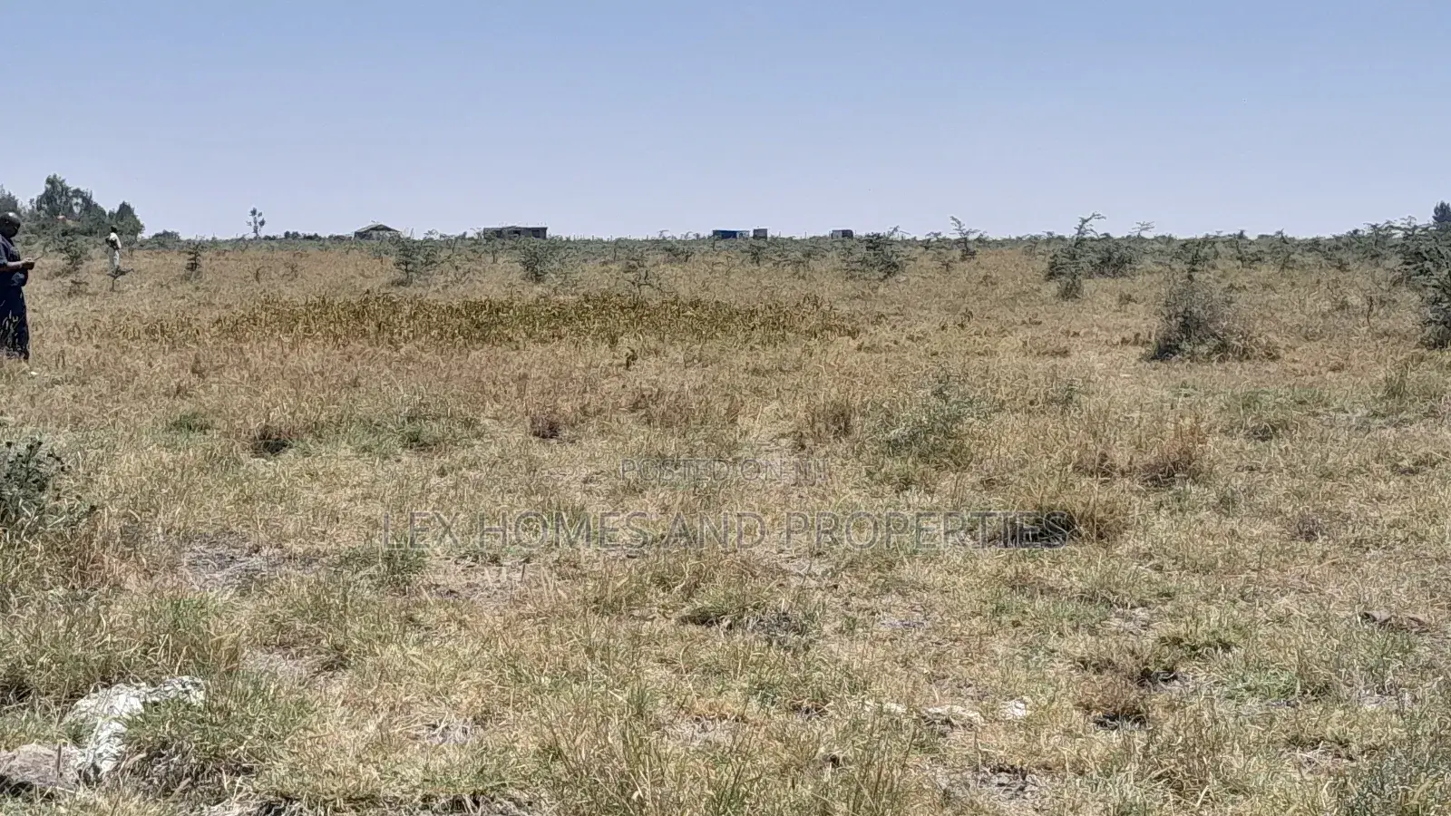 Five Acres Of Land For Sale At Sholinke