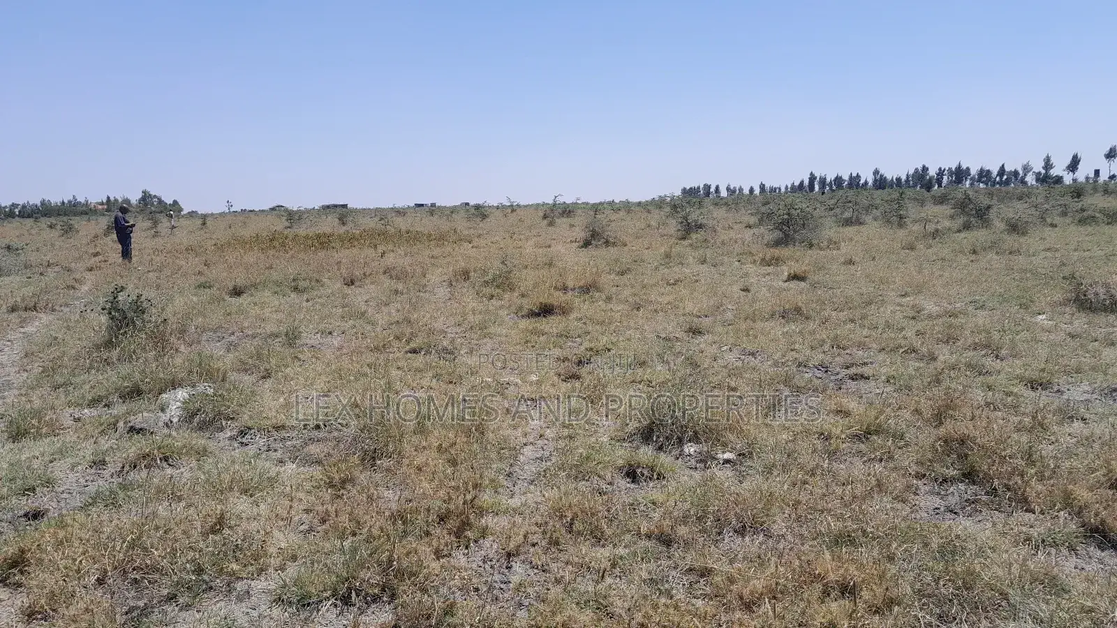 Five Acres Of Land For Sale At Sholinke