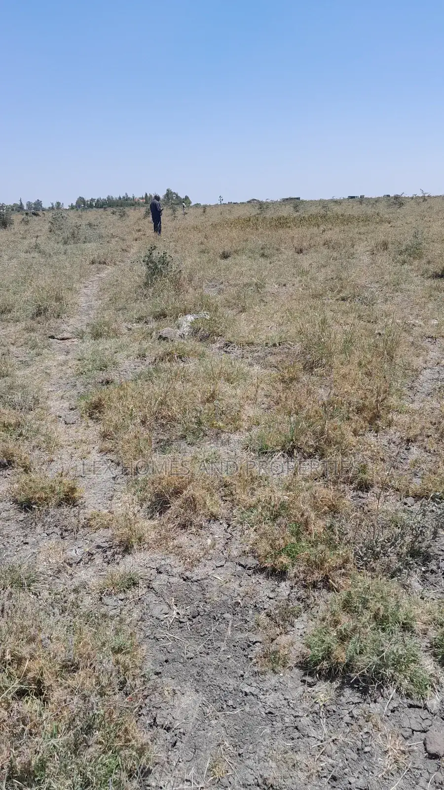 Five Acres Of Land For Sale At Sholinke