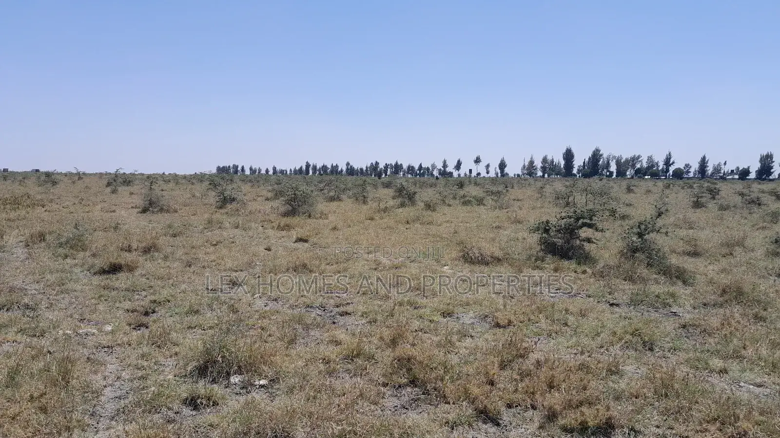 Five Acres Of Land For Sale At Sholinke