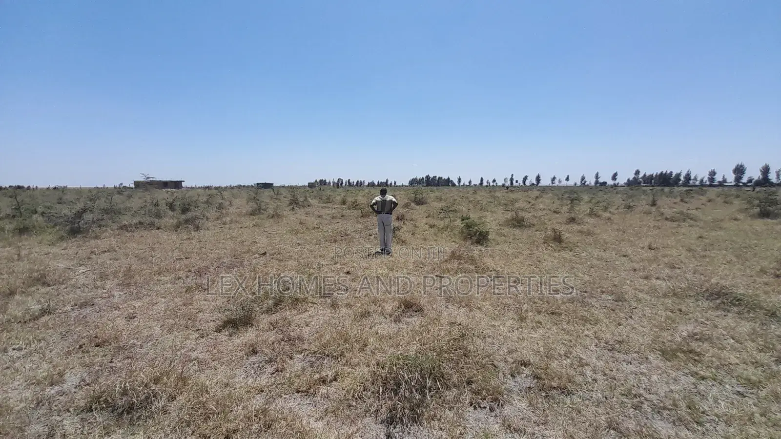 Five Acres Of Land For Sale At Sholinke