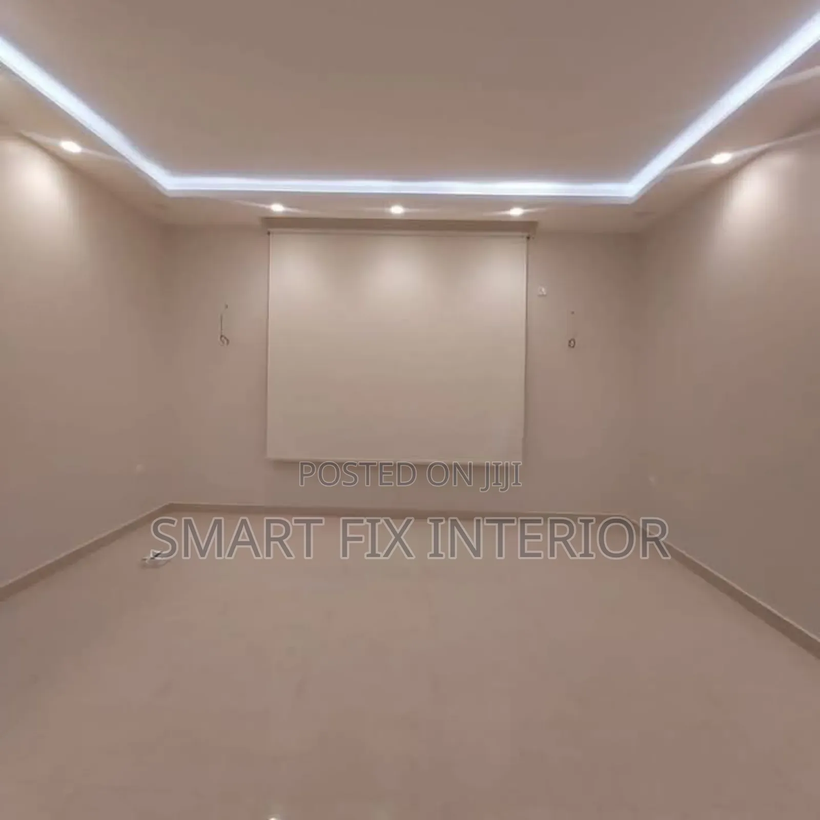 Down Light and Snake Light/Home Décor Installation/Repair