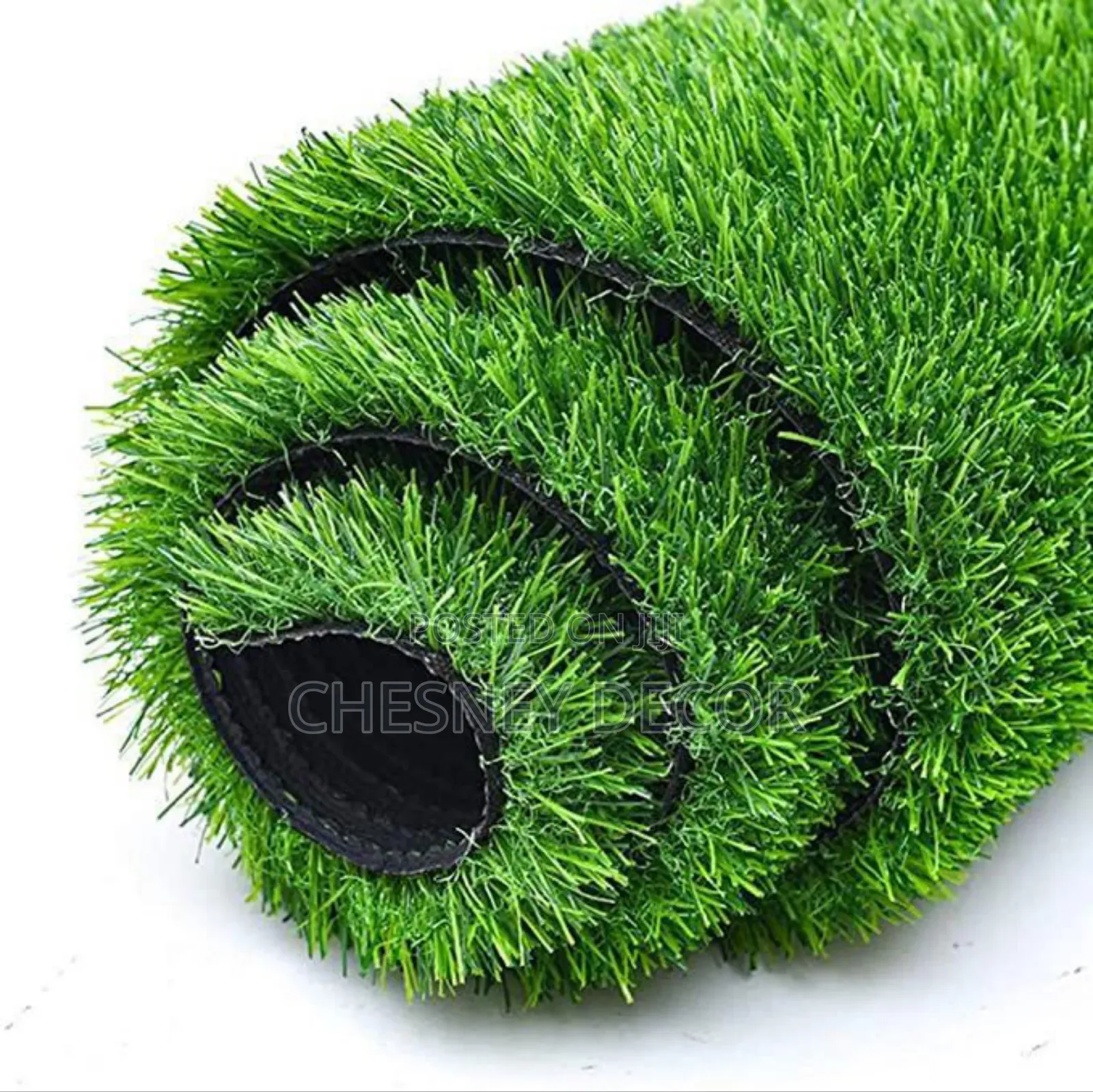 Eye-Catching Tufgrass
