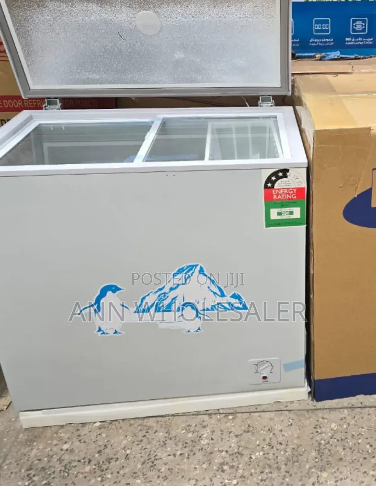 Ecomax 169 Litres Deep Chest Freezer E269L