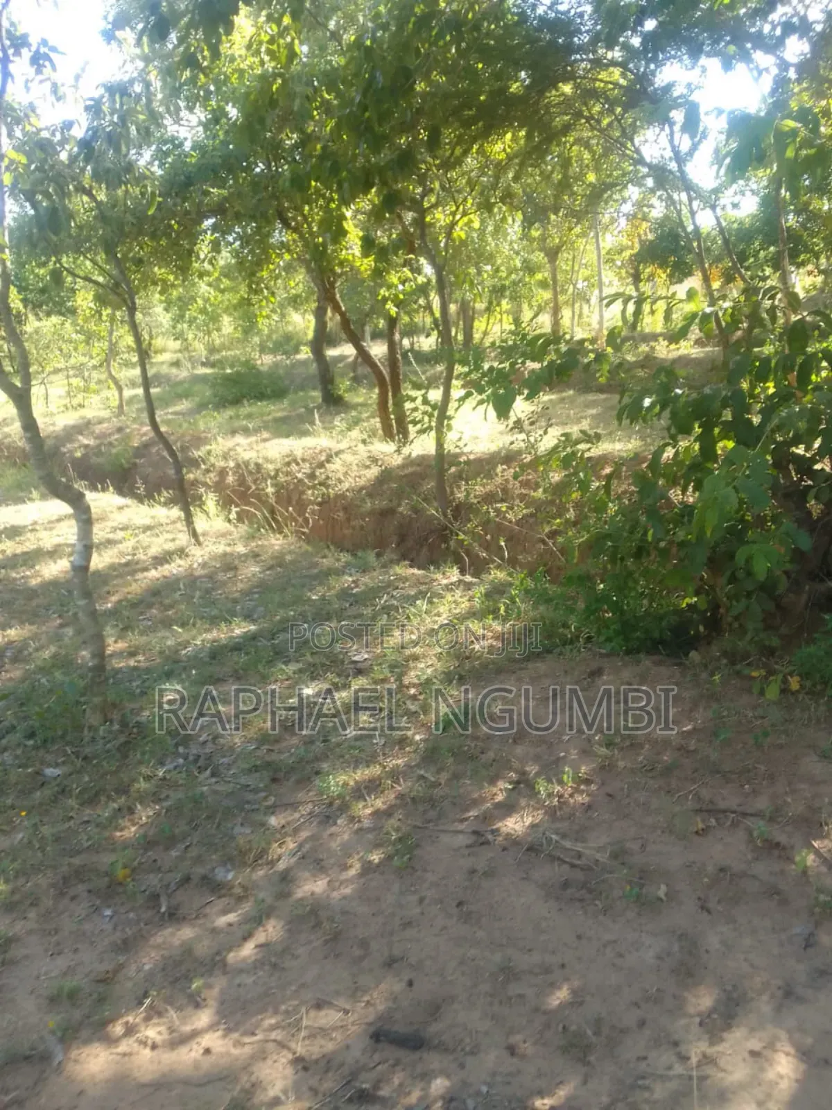 3 Prime Acres at Masii Machakos