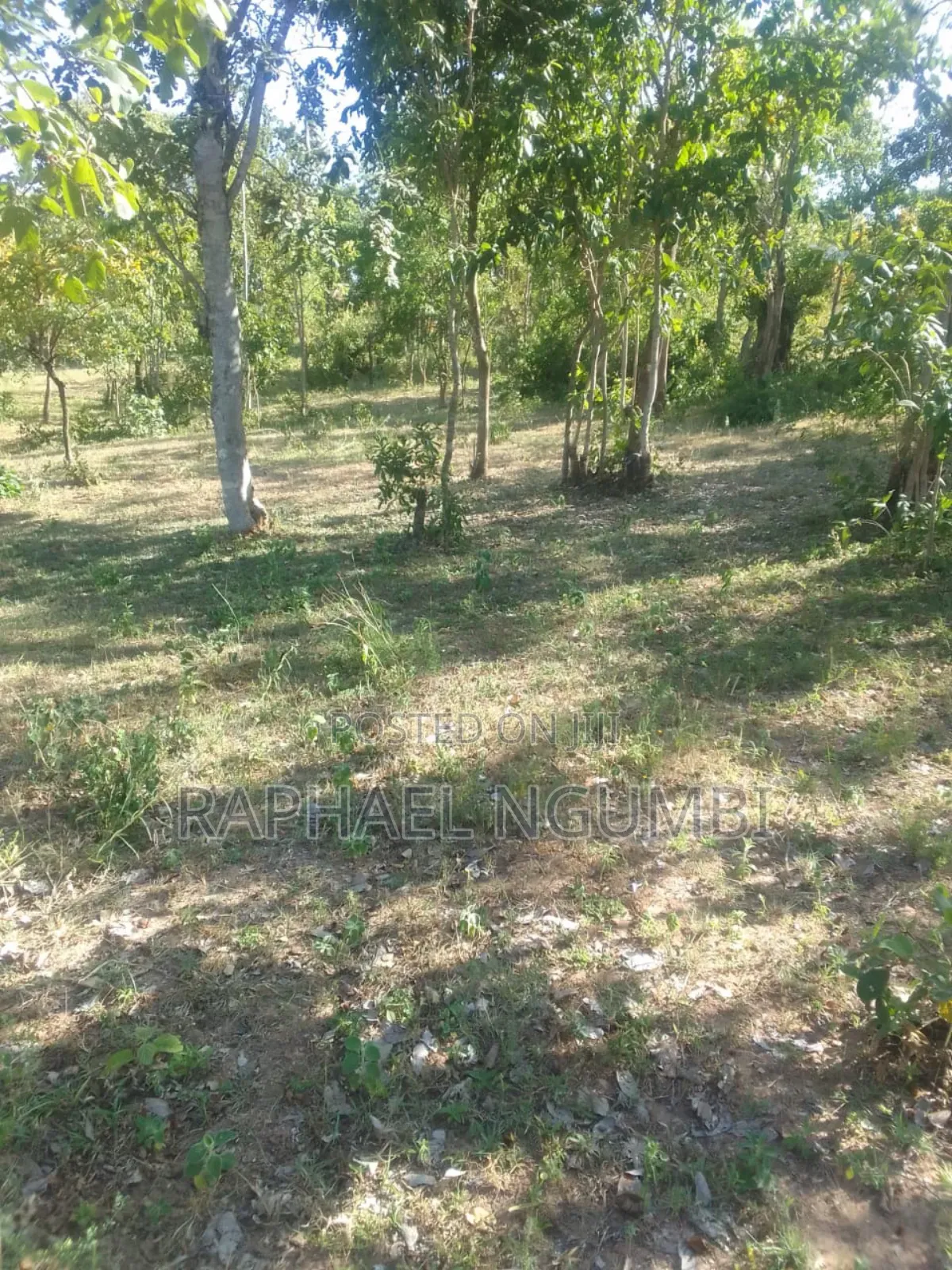 3 Prime Acres at Masii Machakos
