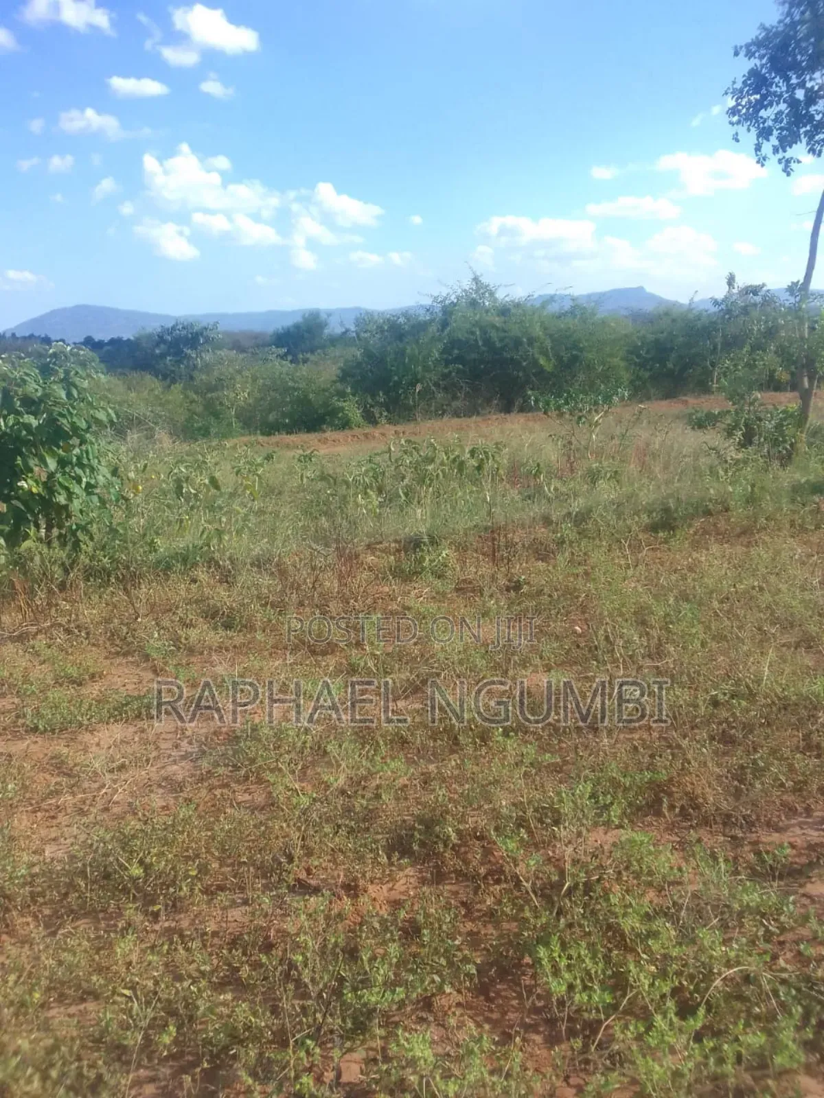 Masii Kitooni 3 Acres