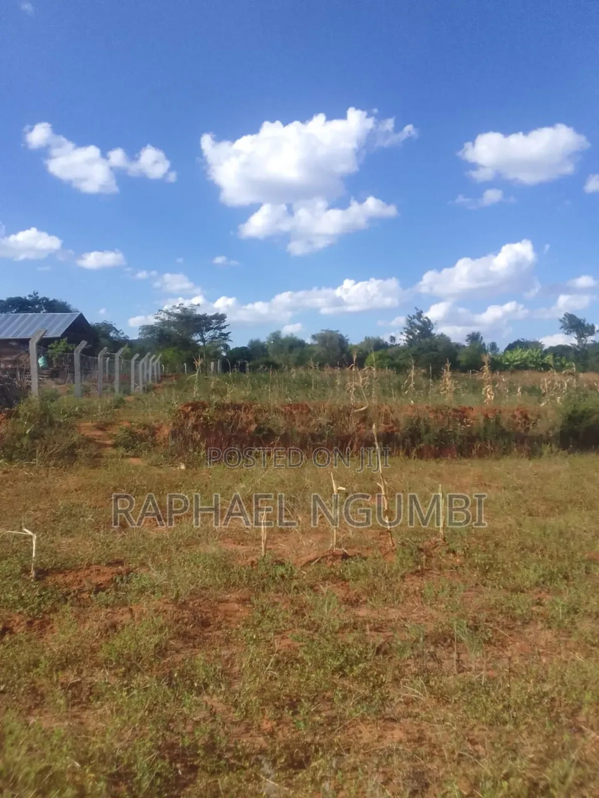 Masii Kitooni 3 Acres