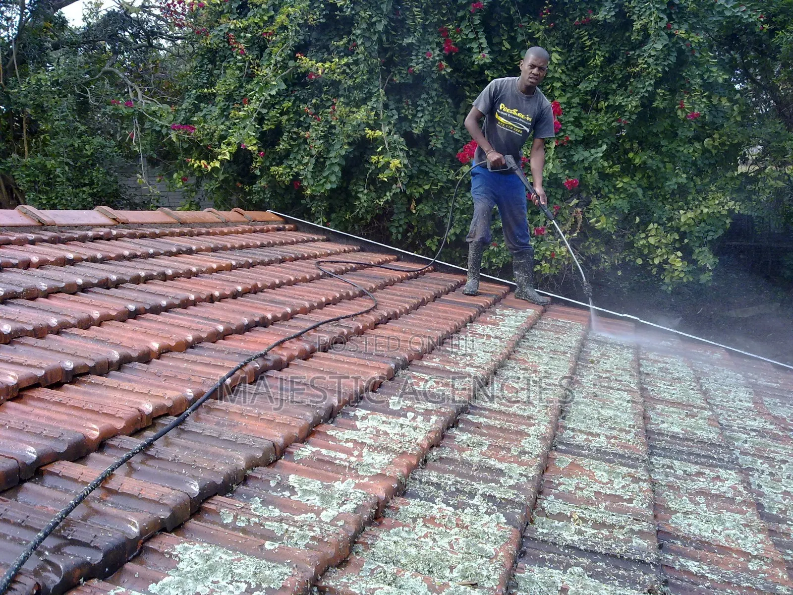 Roof Clearing and Cleaning Services