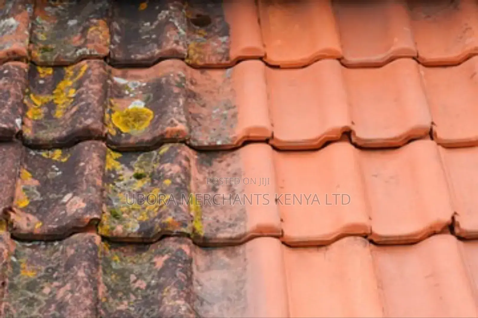 Roof Pressure Washing Cleaning