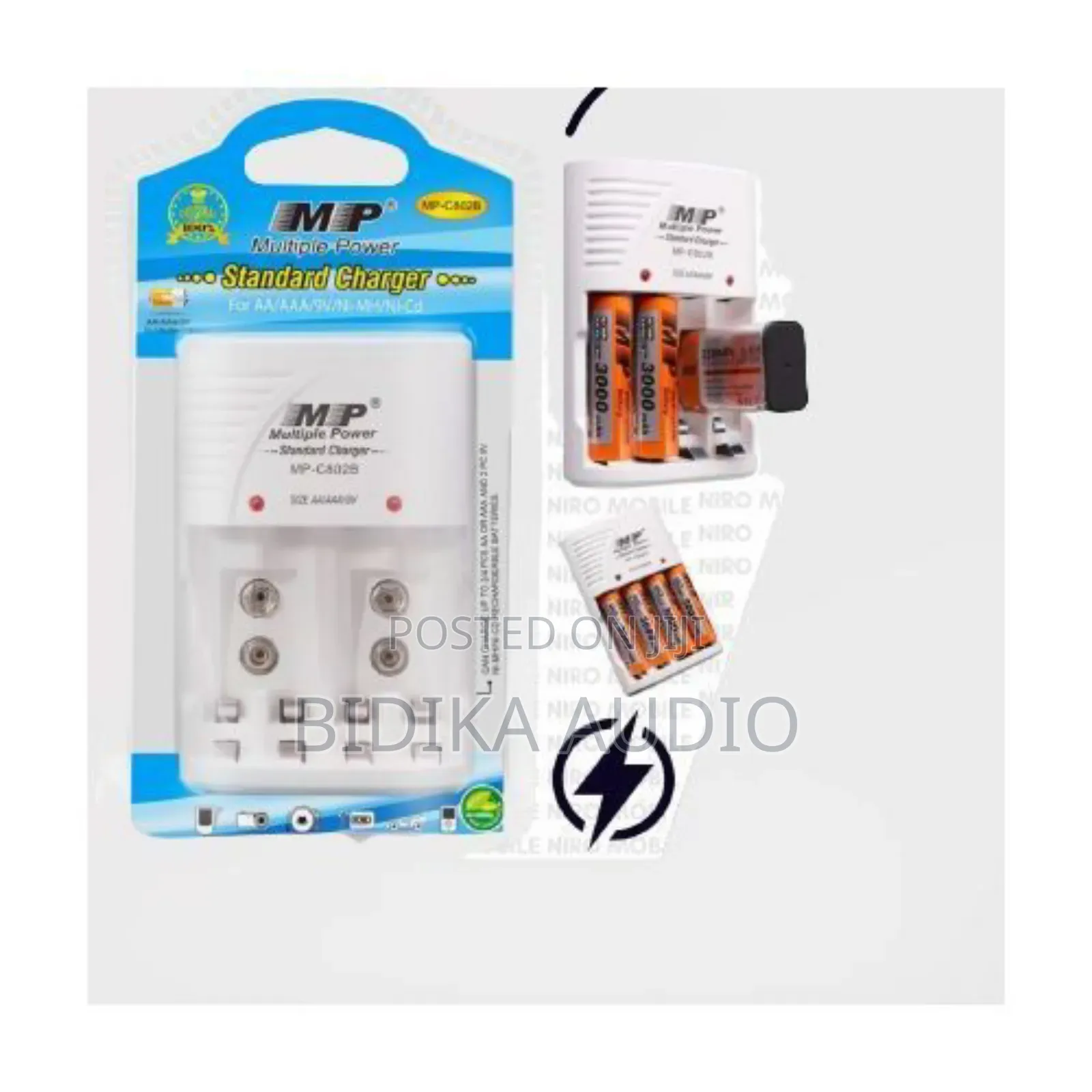 Multiple Power Standard Charger Aa