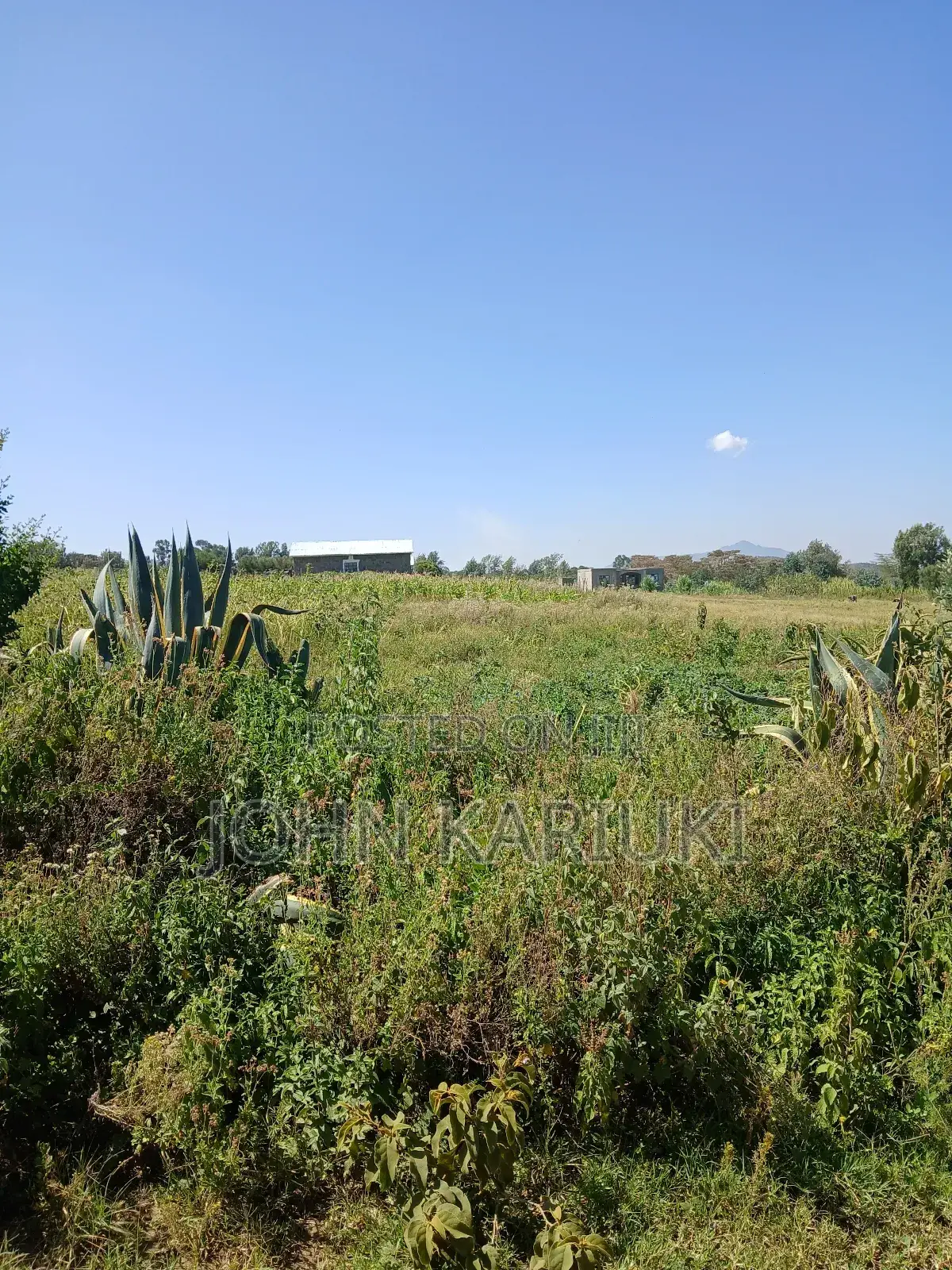 50x100 Plots in Naivasha Nyamathi Gd Area With View of Lake