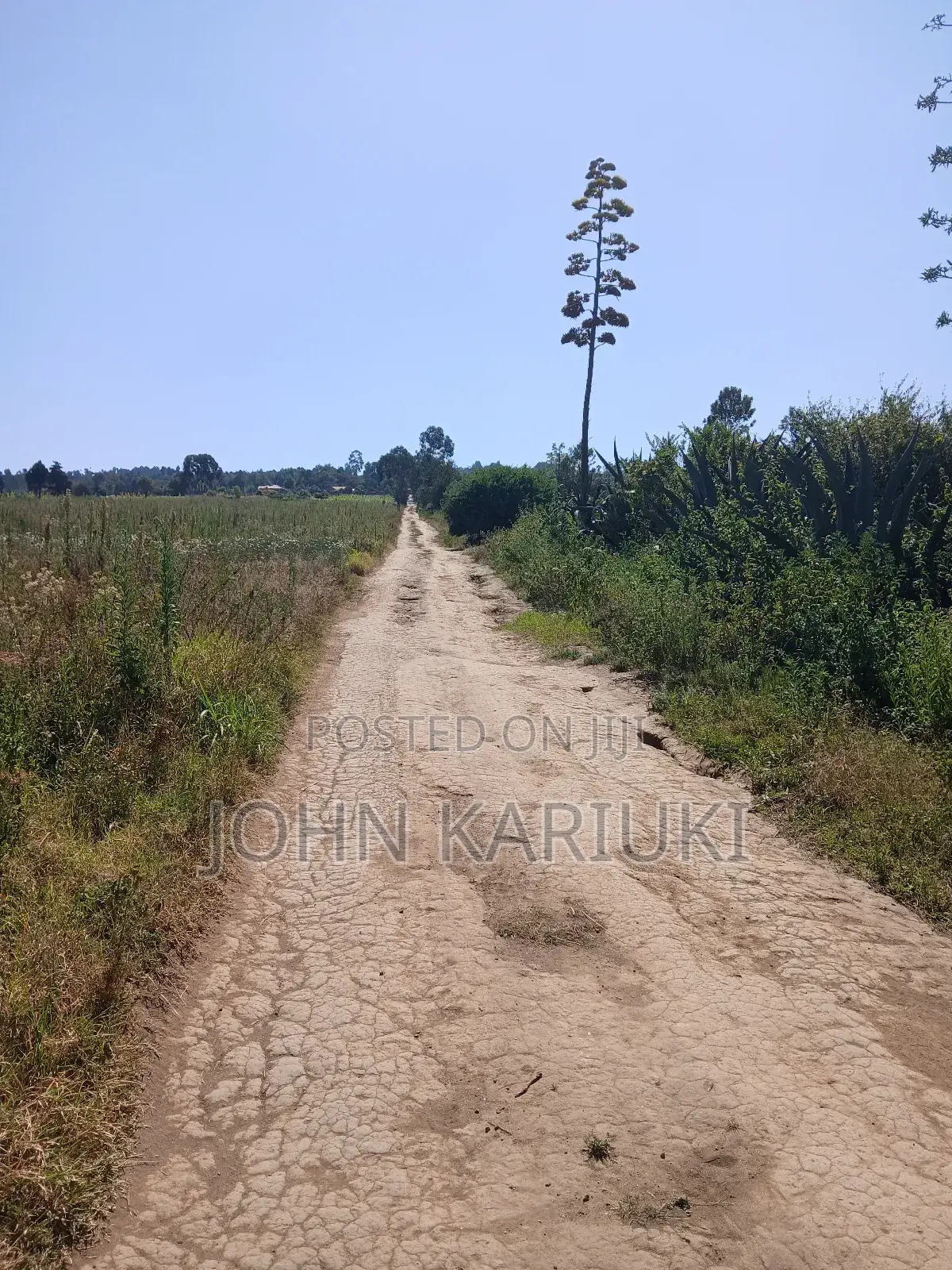 50x100 Plots in Naivasha Nyamathi Gd Area With View of Lake