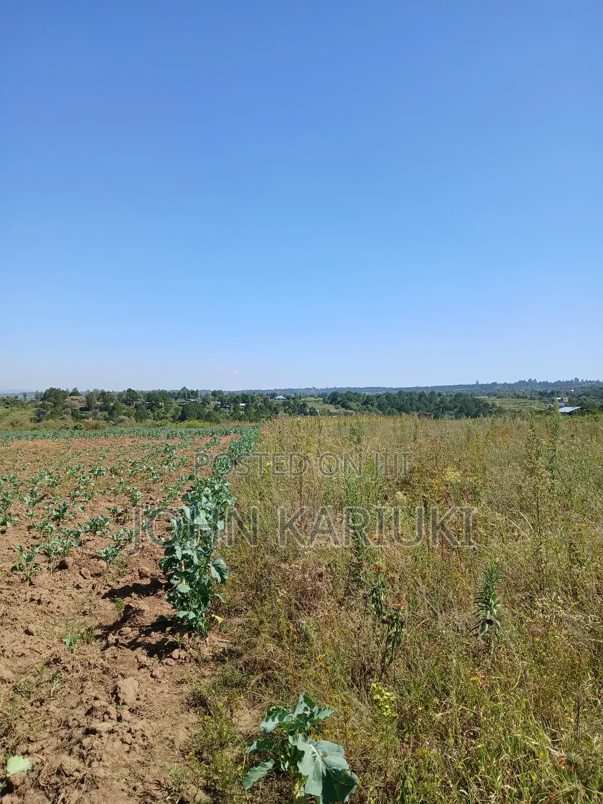 50x100 Plots in Naivasha Nyamathi Gd Area With View of Lake