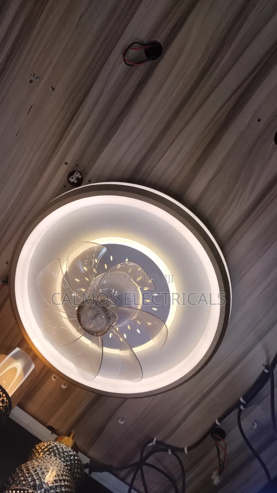 Ceiling Light With Inbuld Fan