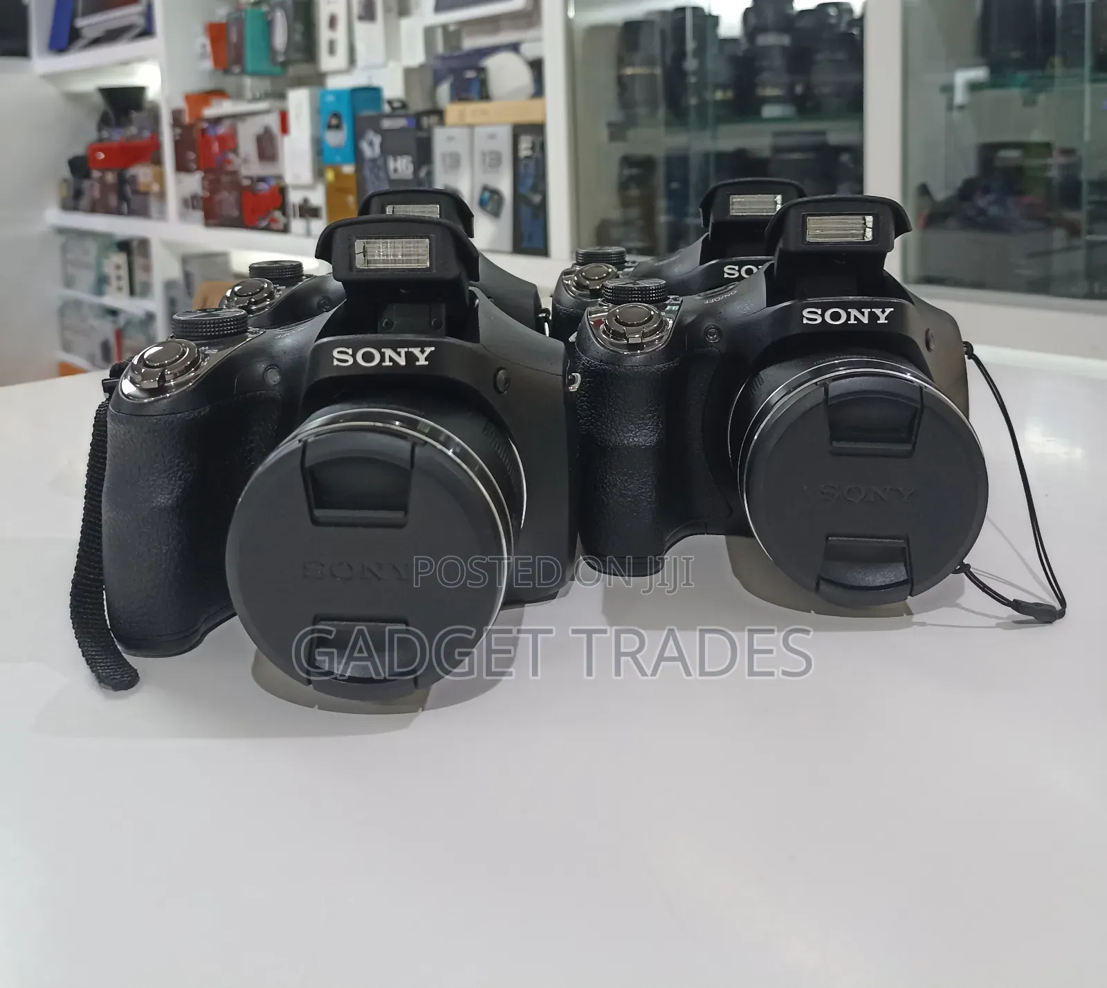Sony Cyber-Shot DSC-H300 Digital Camera (Black)