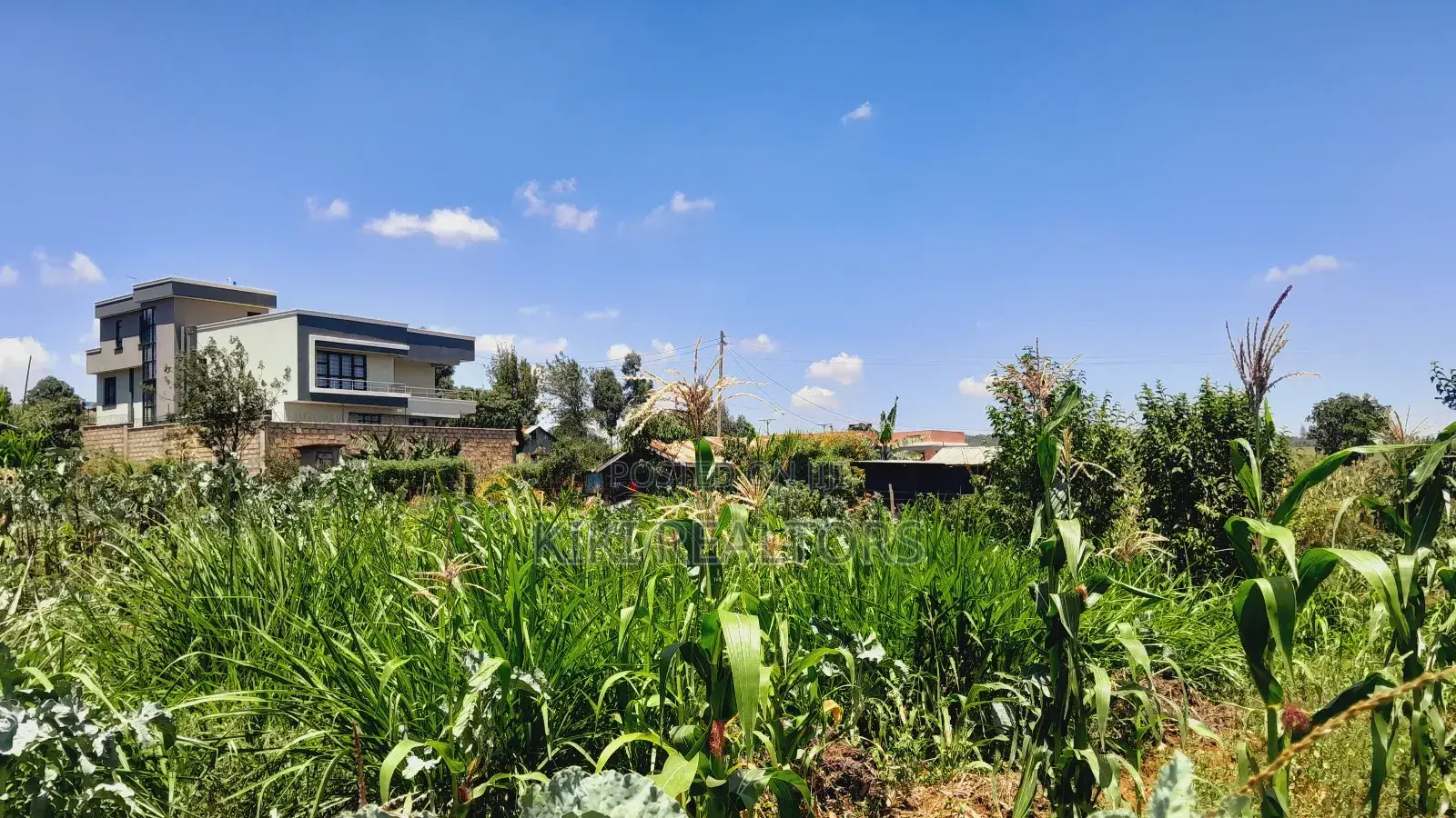 Kikuyu Prime Plot for Sale(Migumoini)