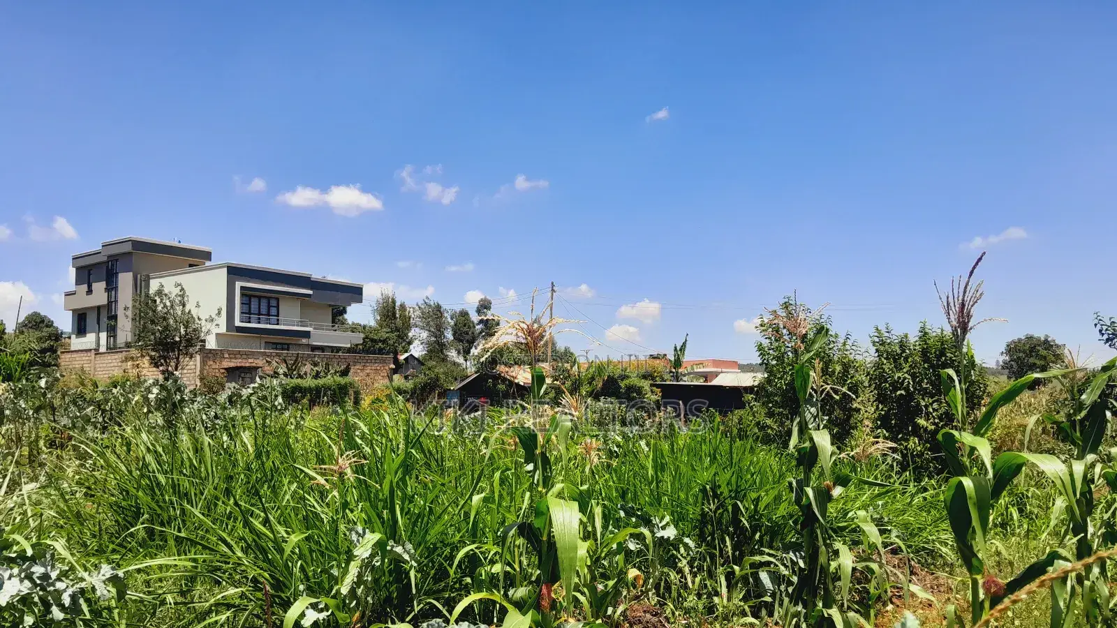 Kikuyu Prime Plot for Sale(Migumoini)