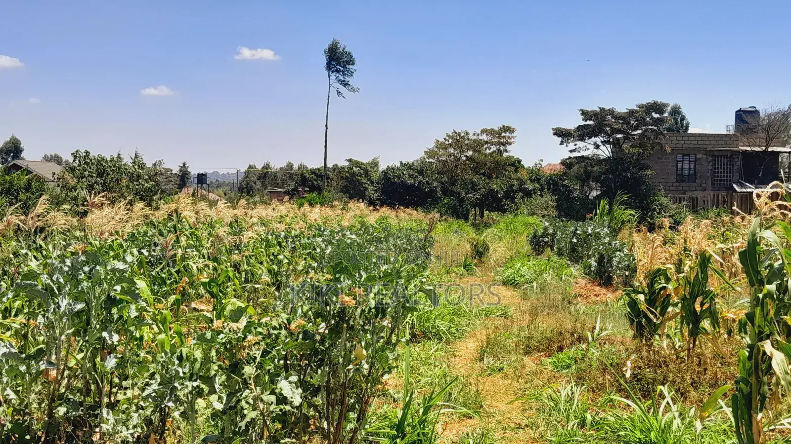 Kikuyu Prime Plot for Sale(Migumoini)