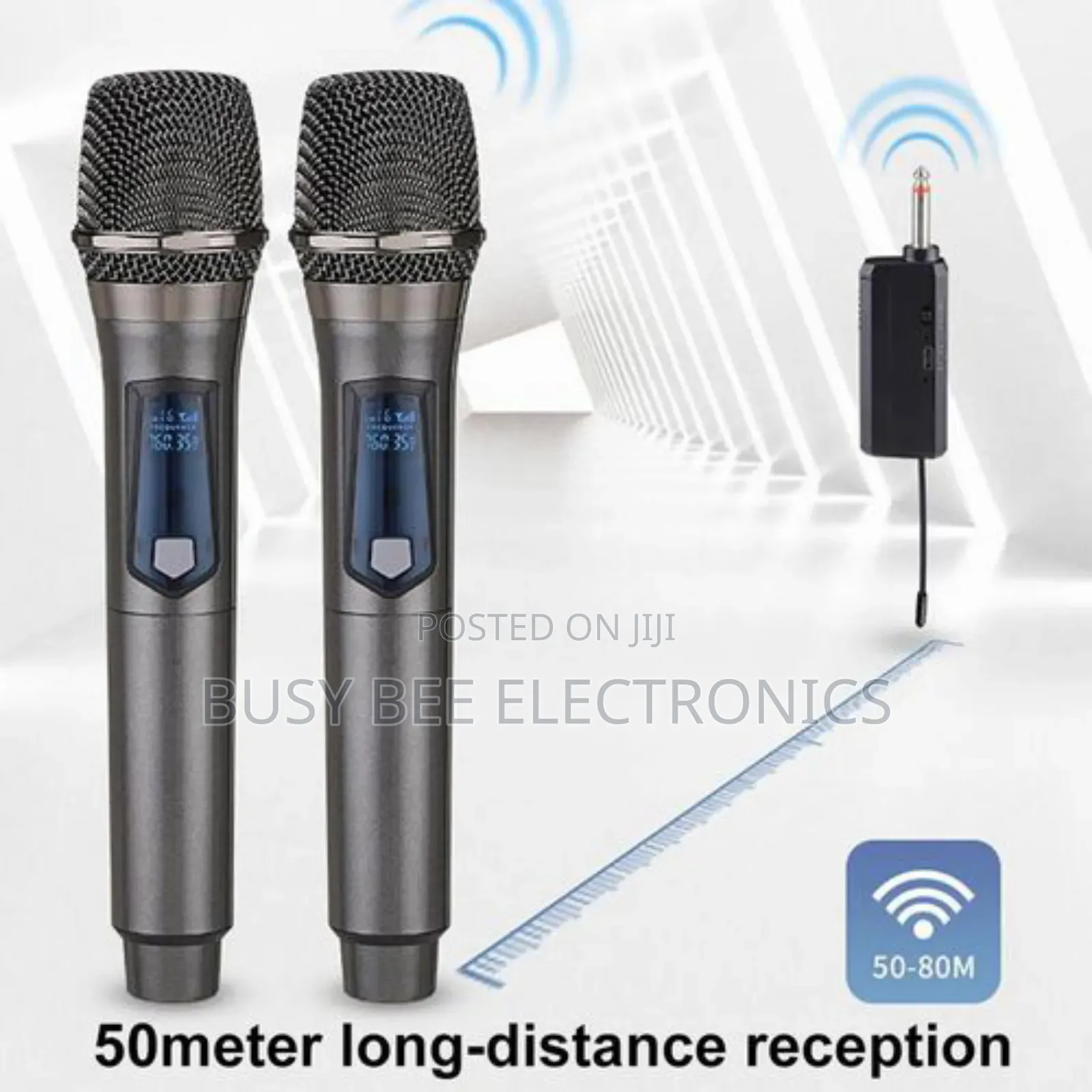 Professional Handheld Mic