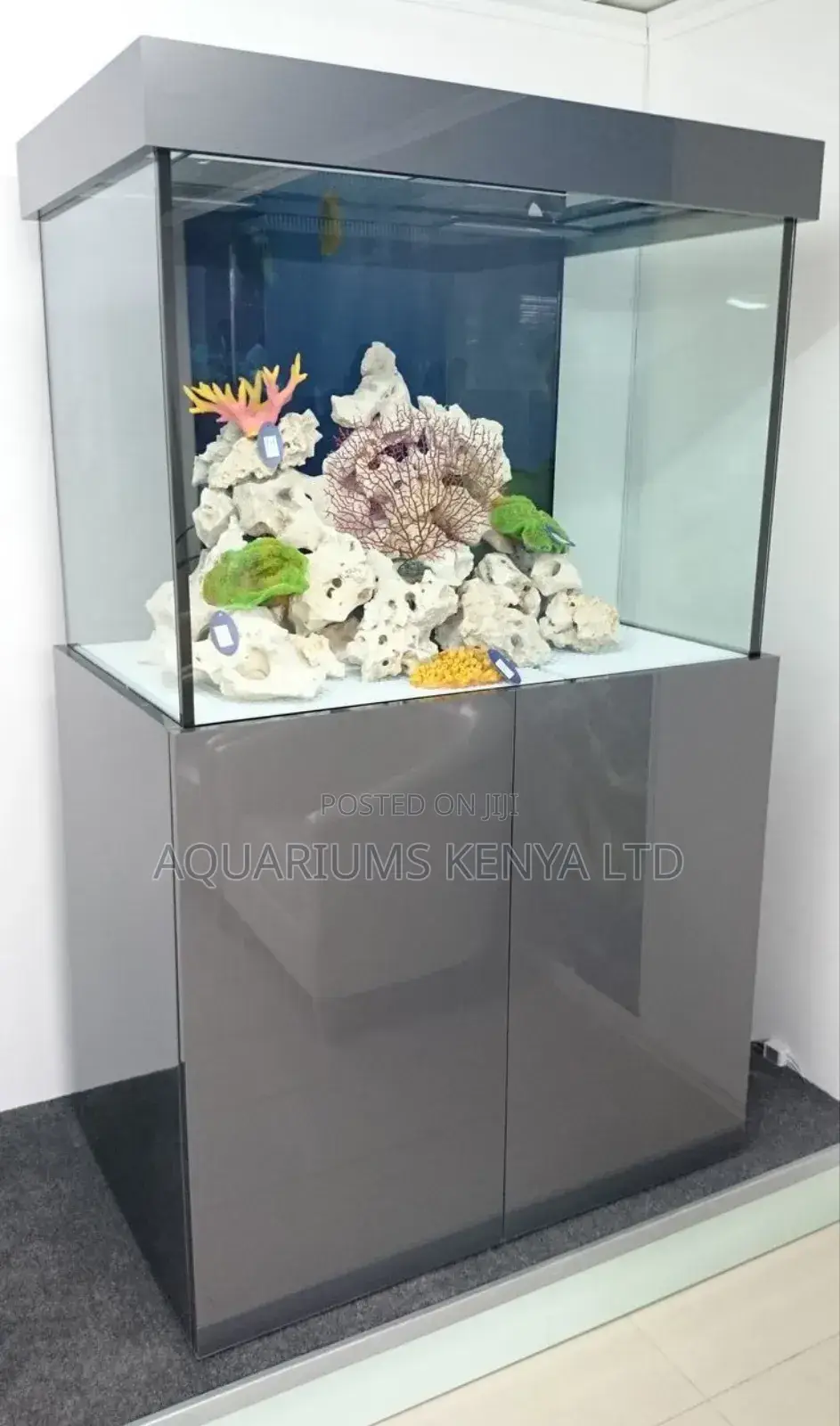 Stunning Freshwater Aquarium With Coral Rock Aquascape